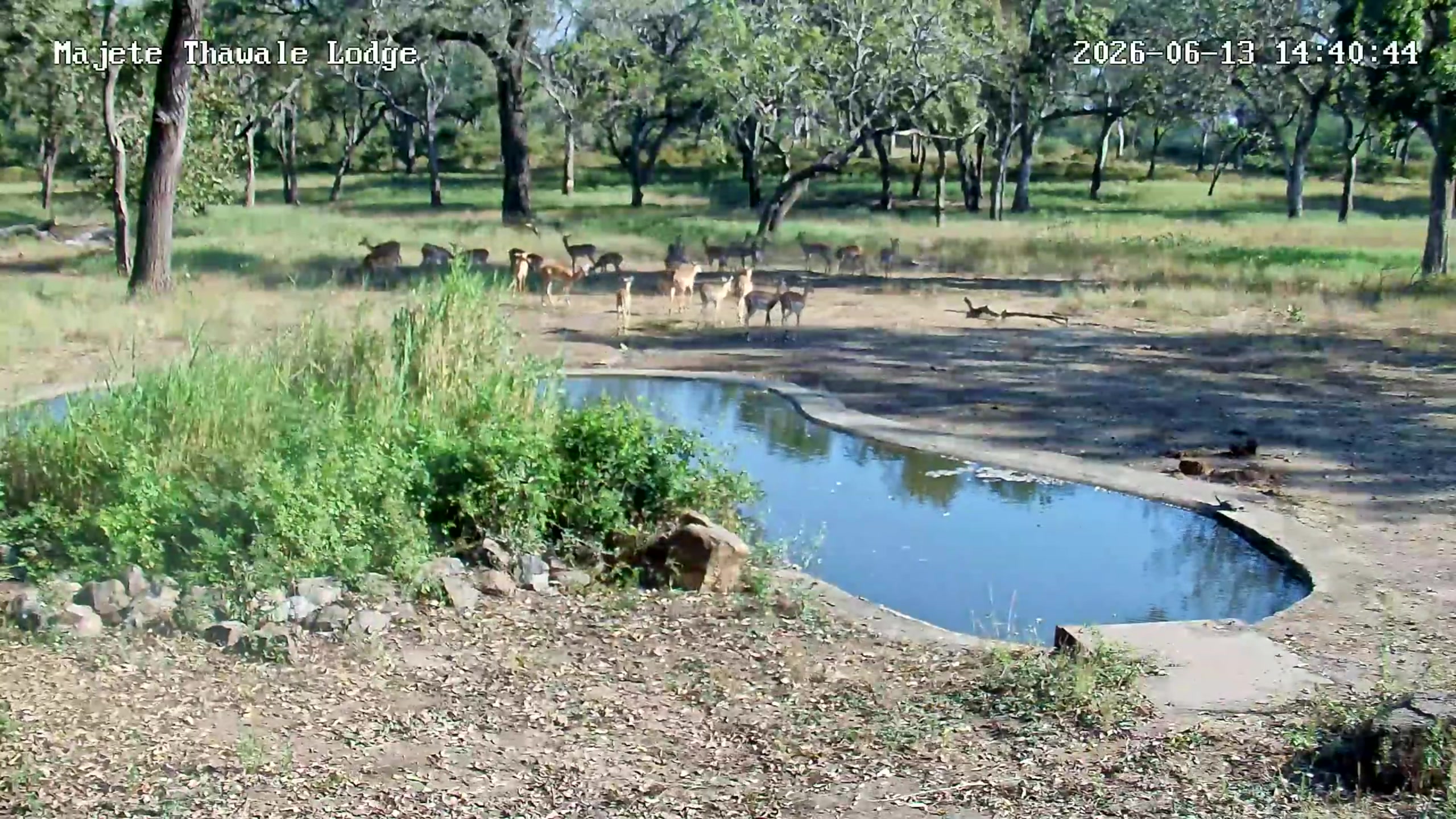 snapshot