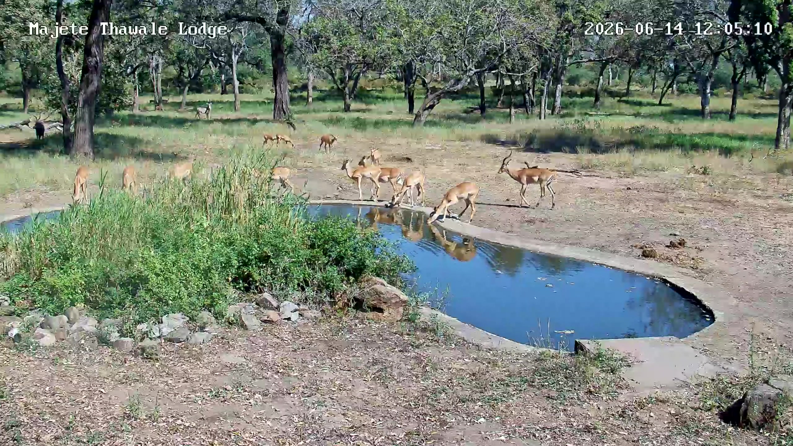 snapshot