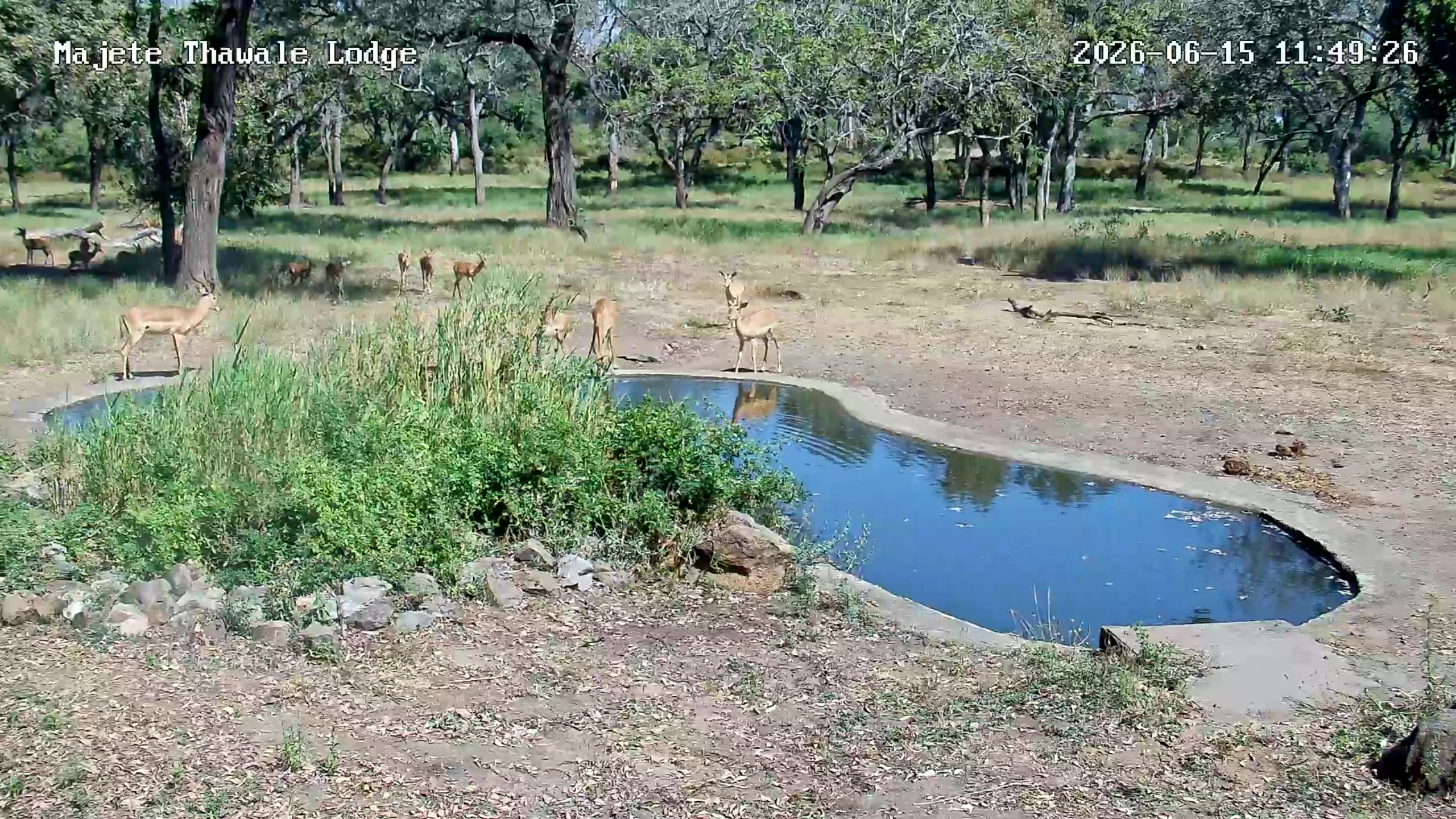snapshot