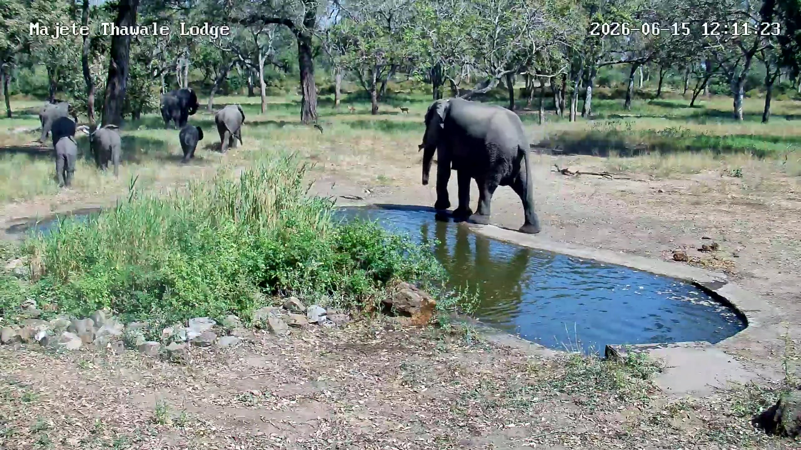 snapshot