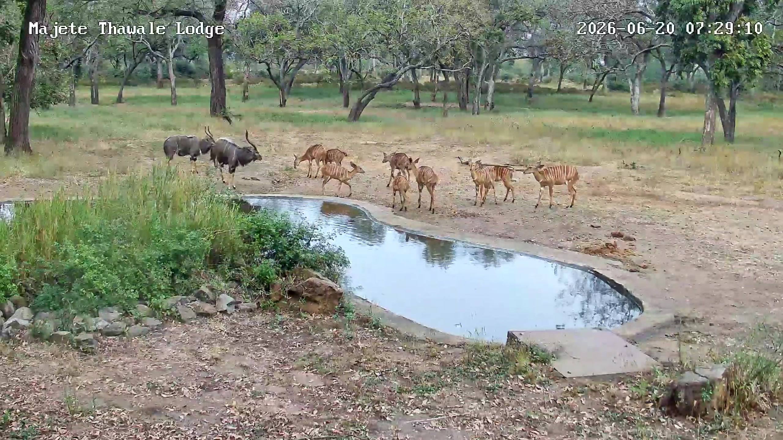 snapshot