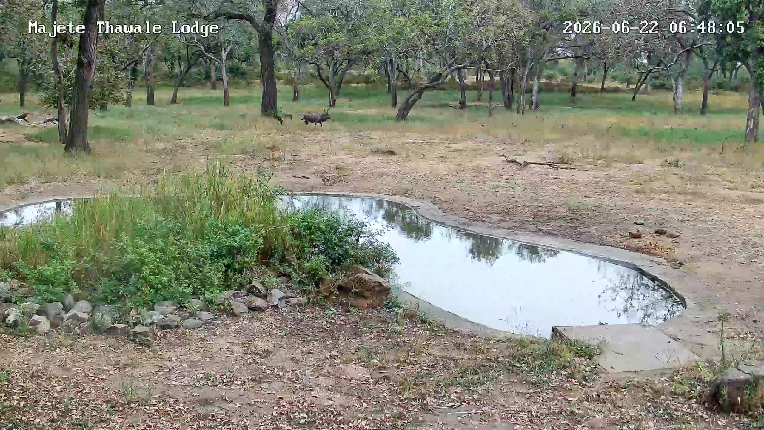 snapshot