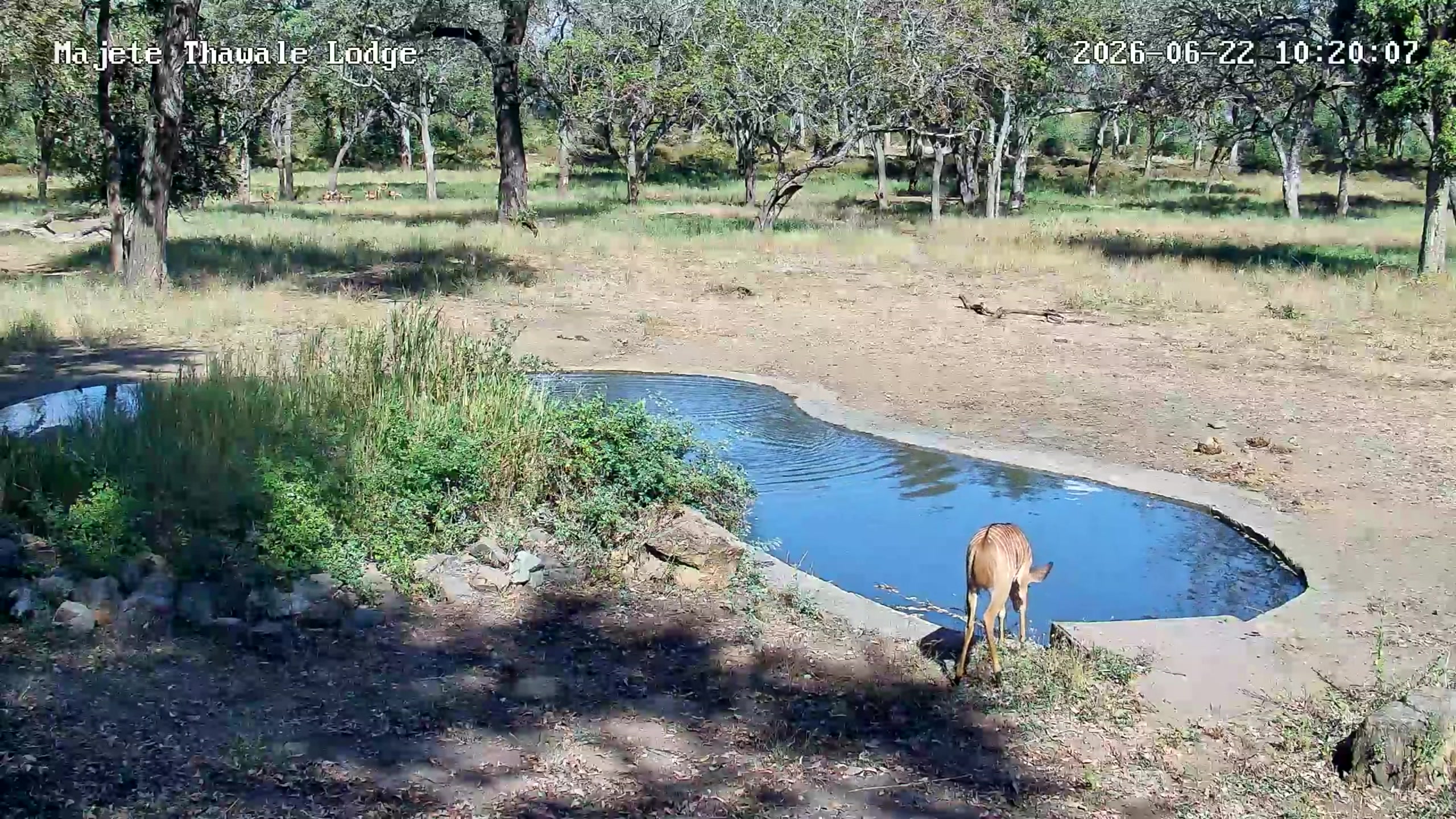 snapshot
