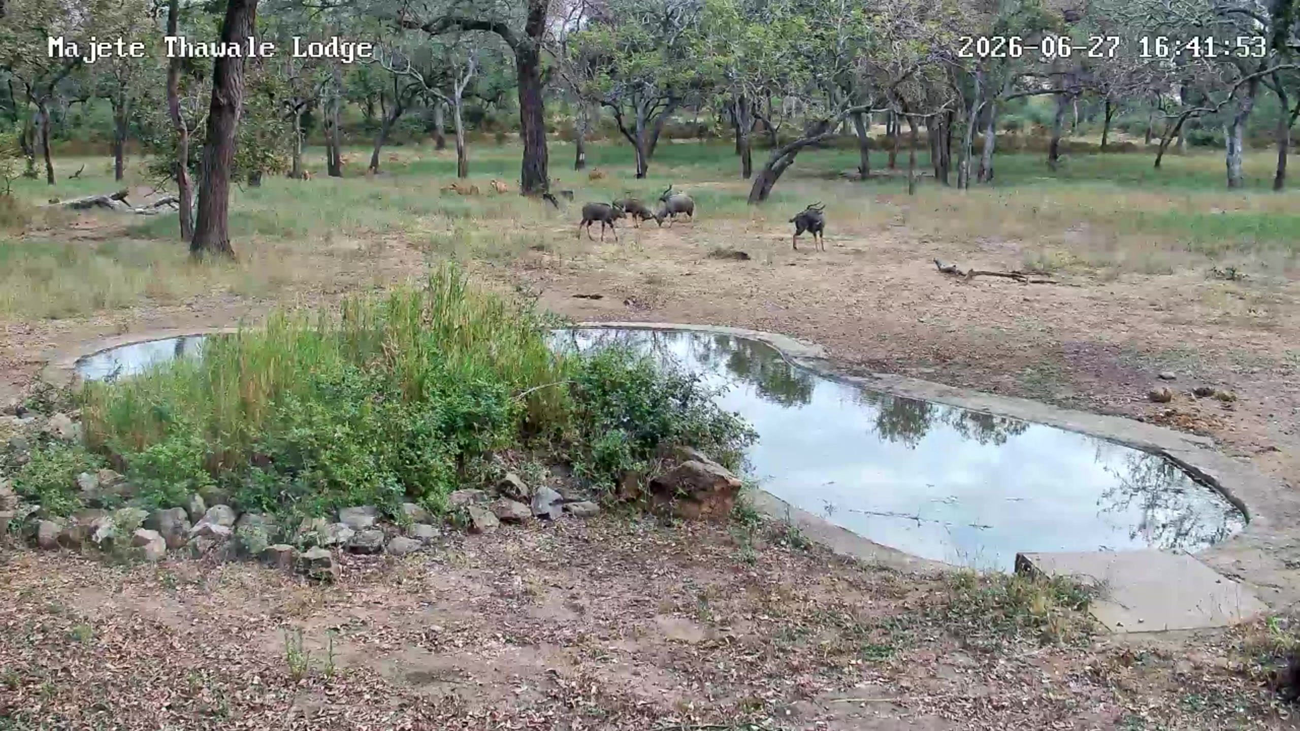 snapshot