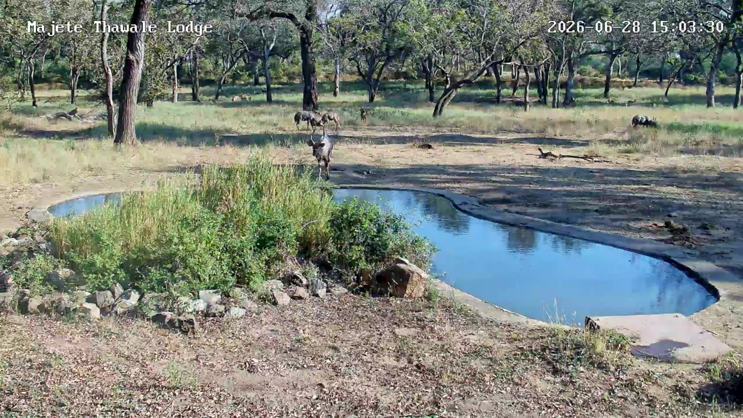 snapshot