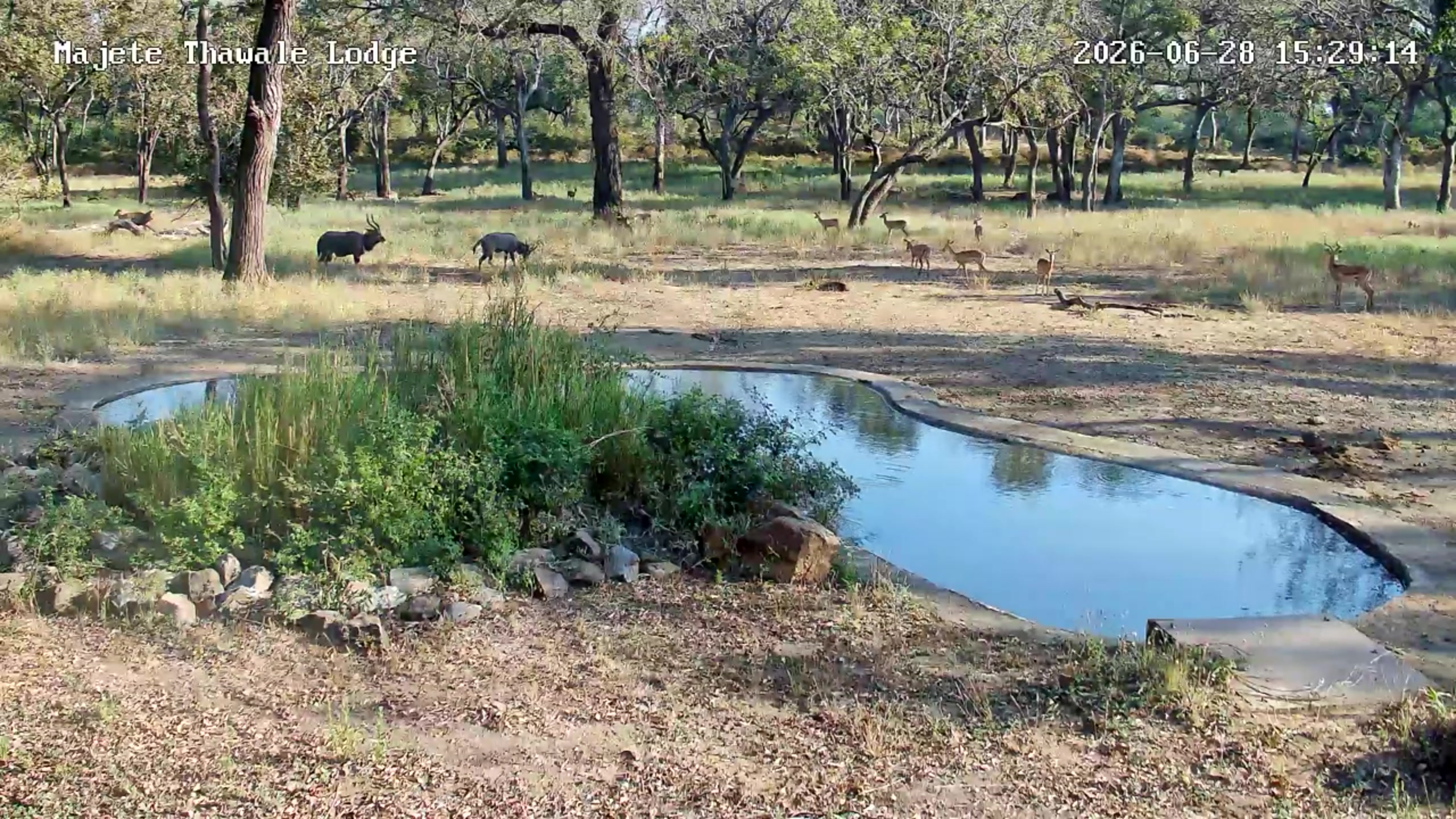 snapshot