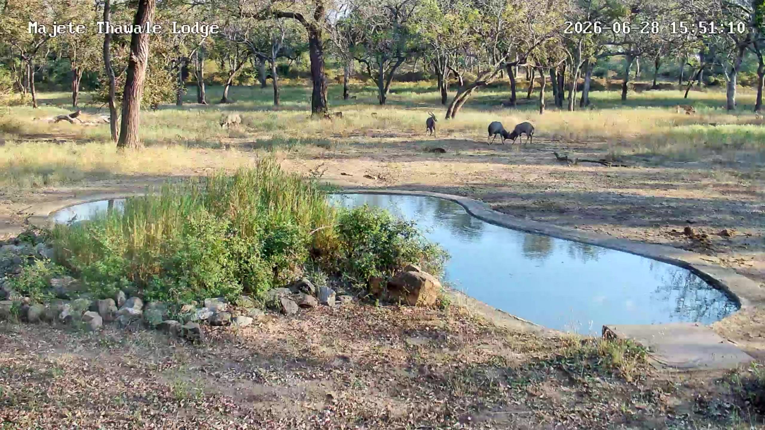 snapshot