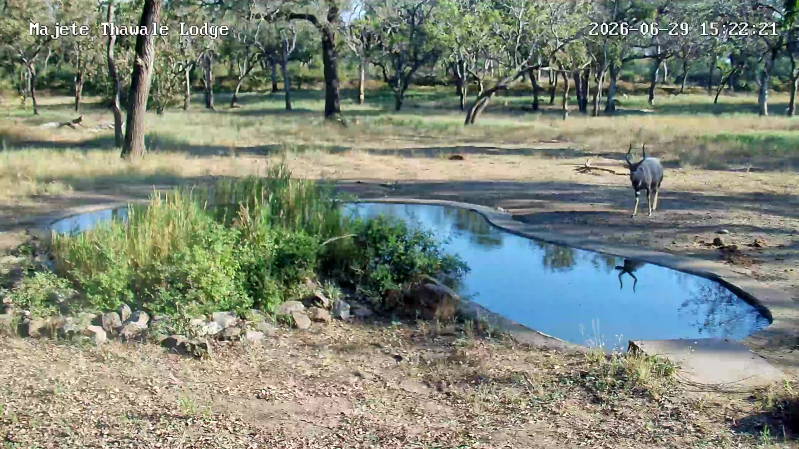 snapshot