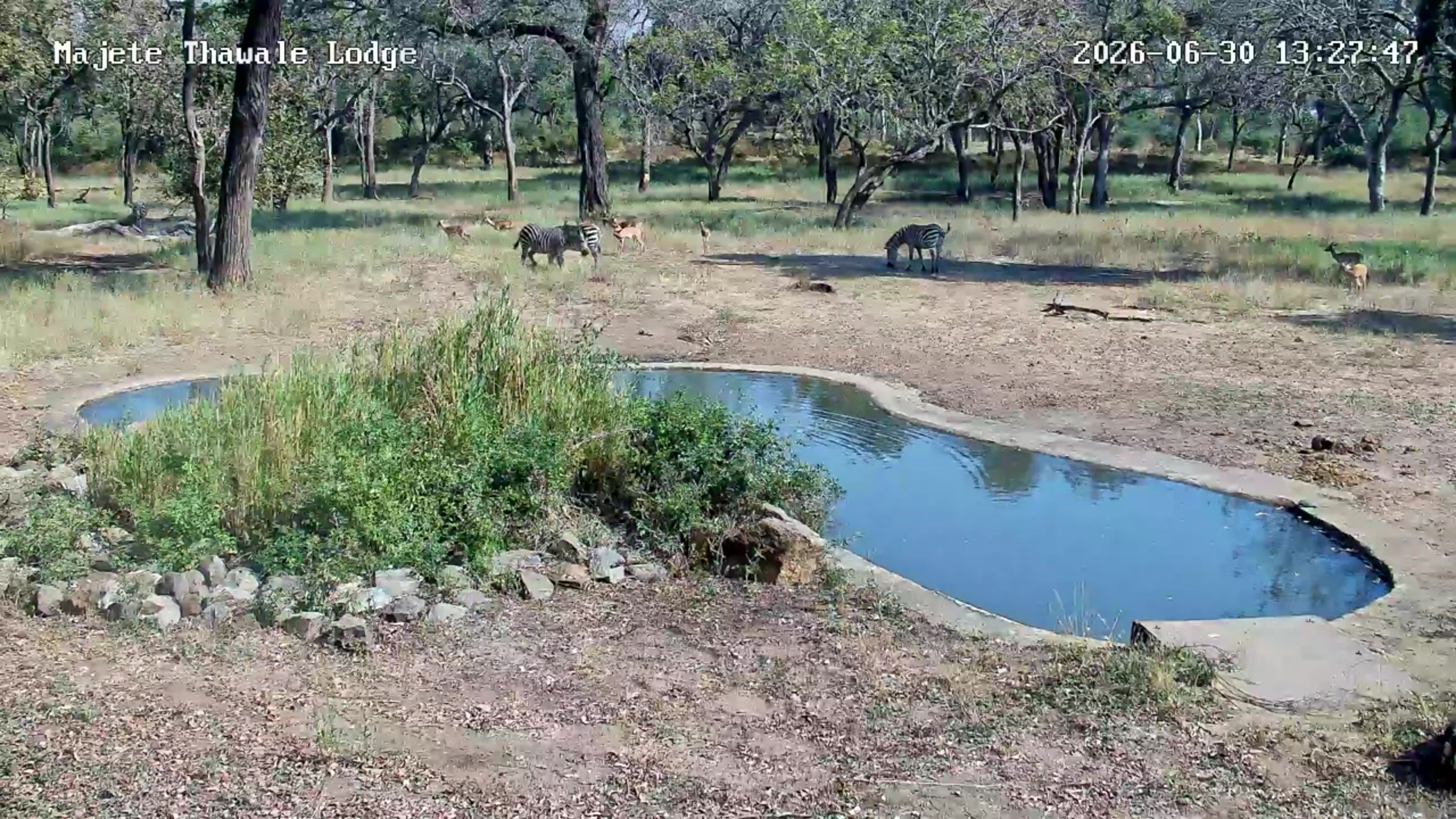 snapshot