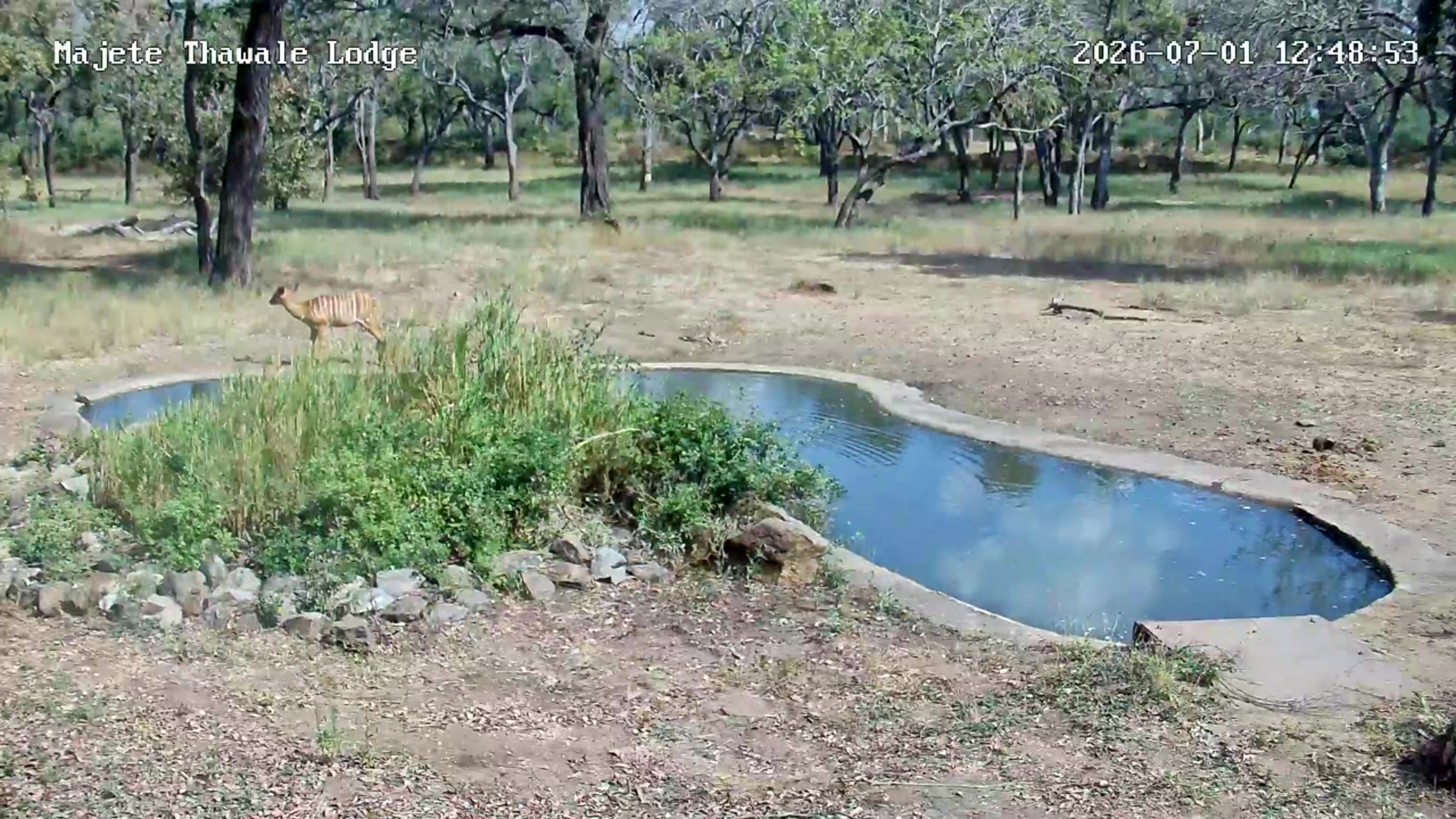 snapshot