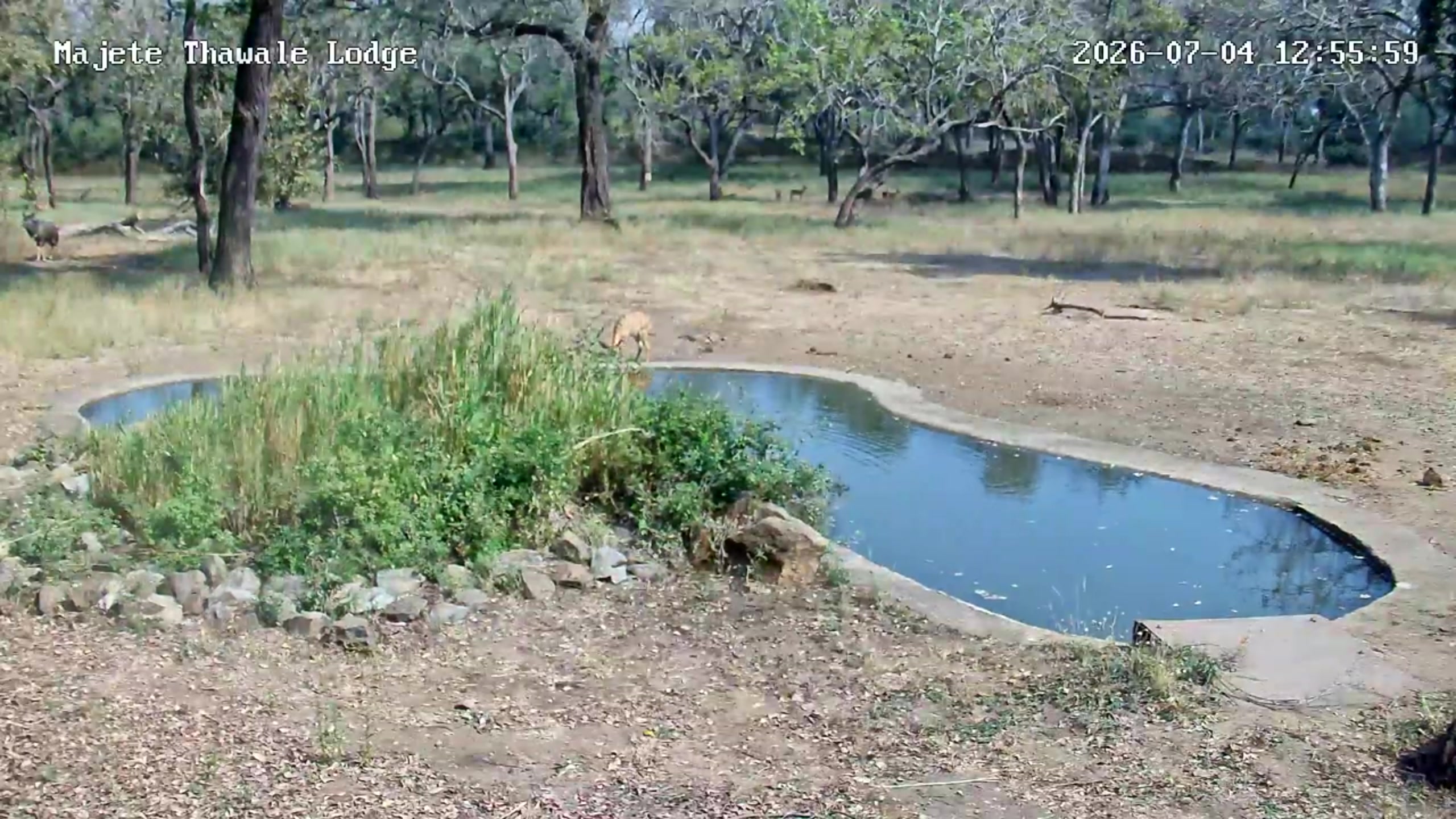snapshot
