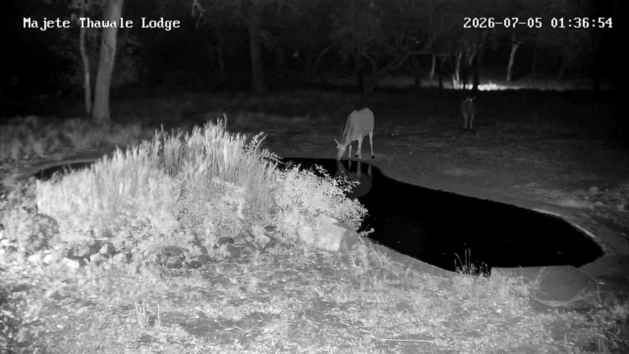 snapshot