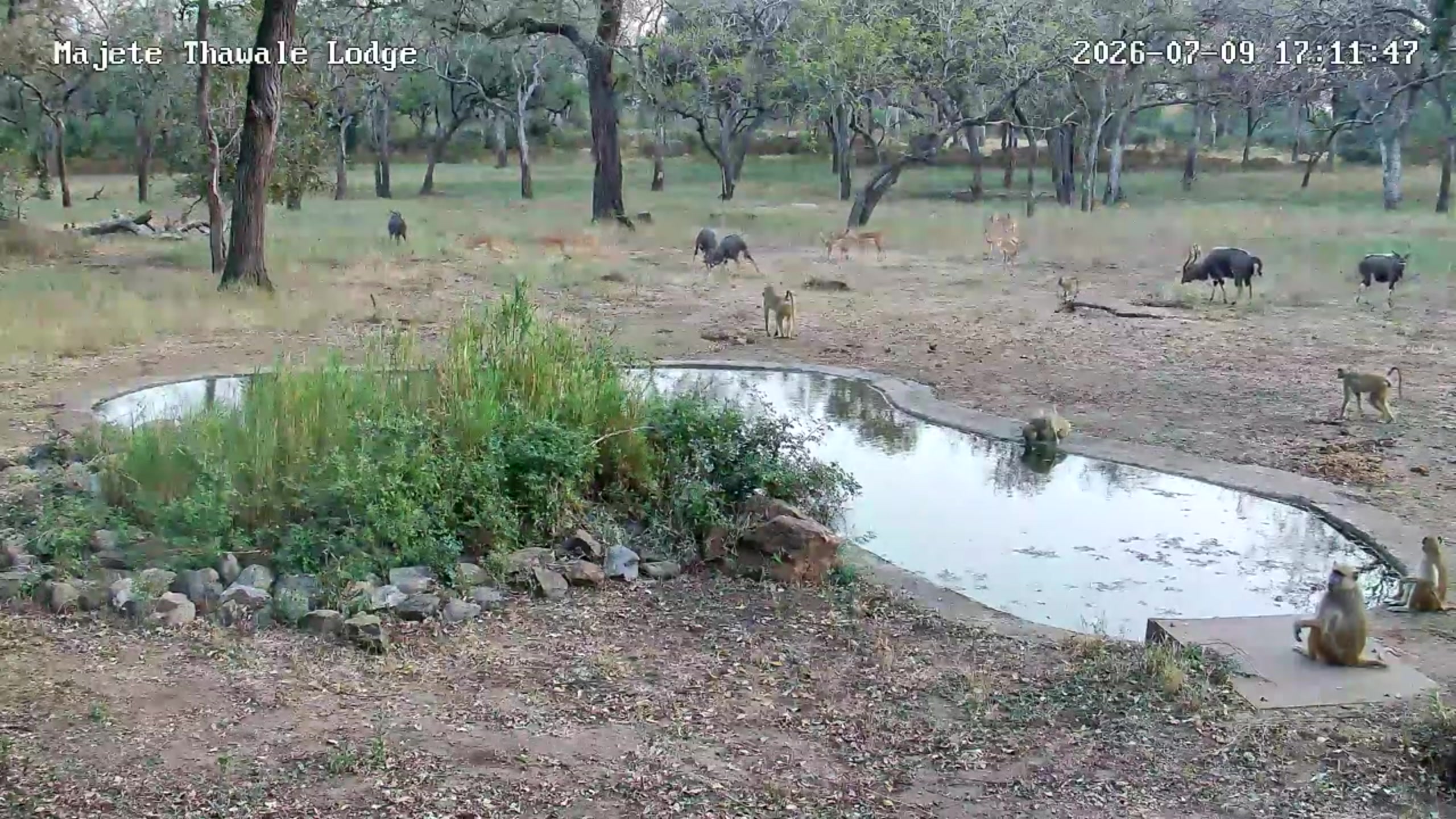 snapshot