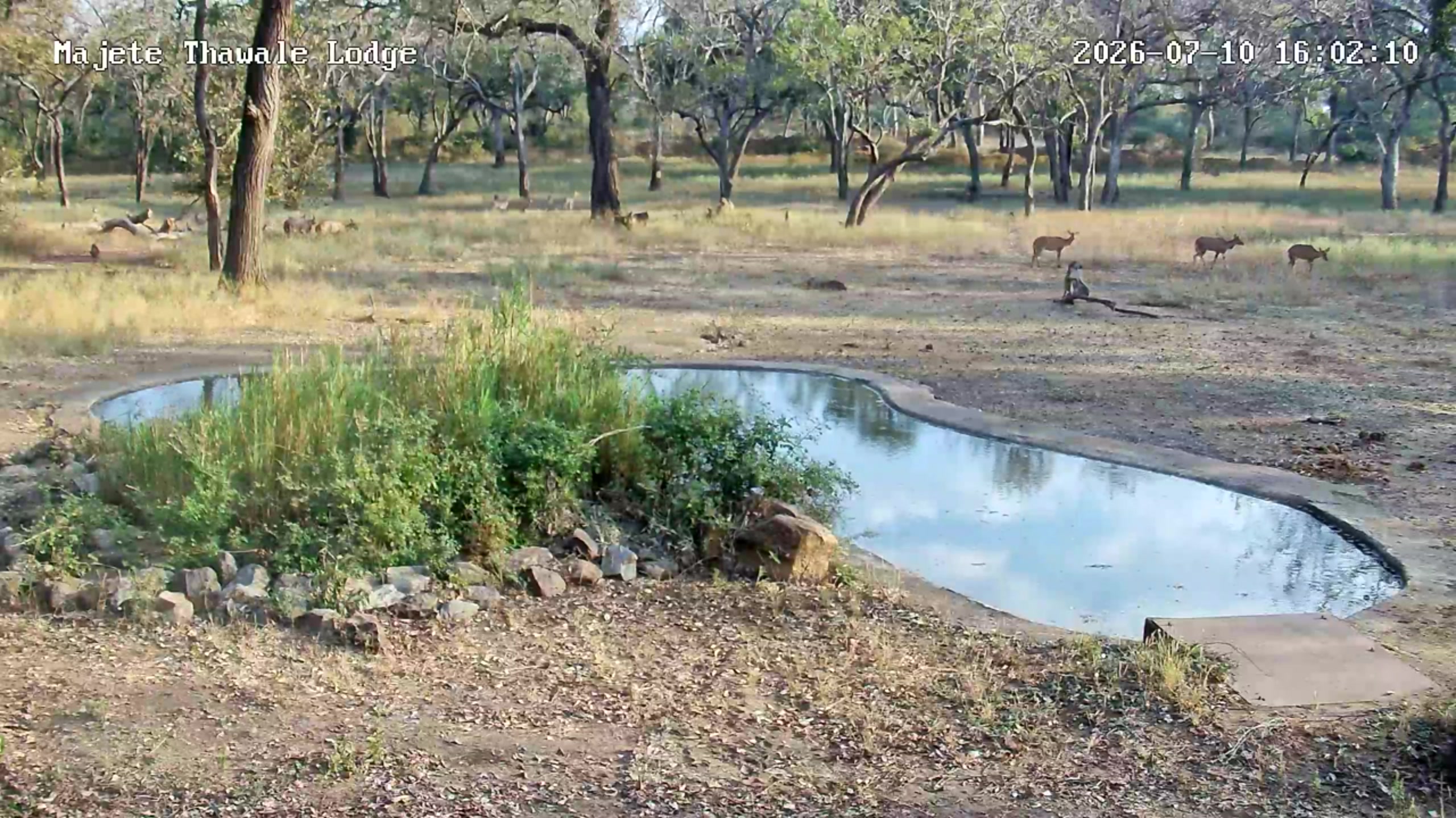 snapshot