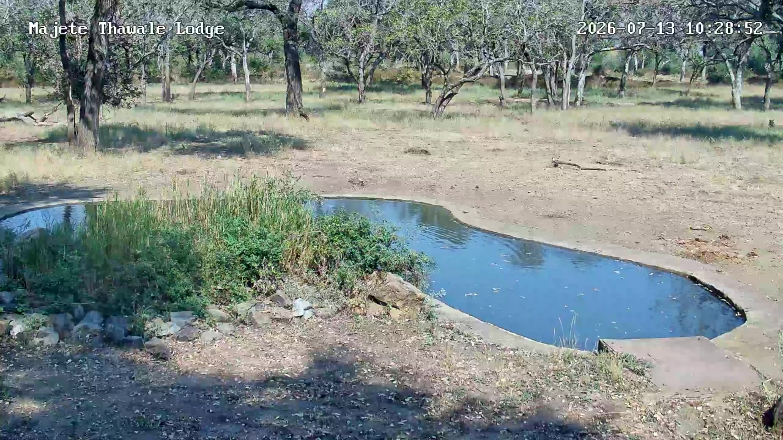snapshot