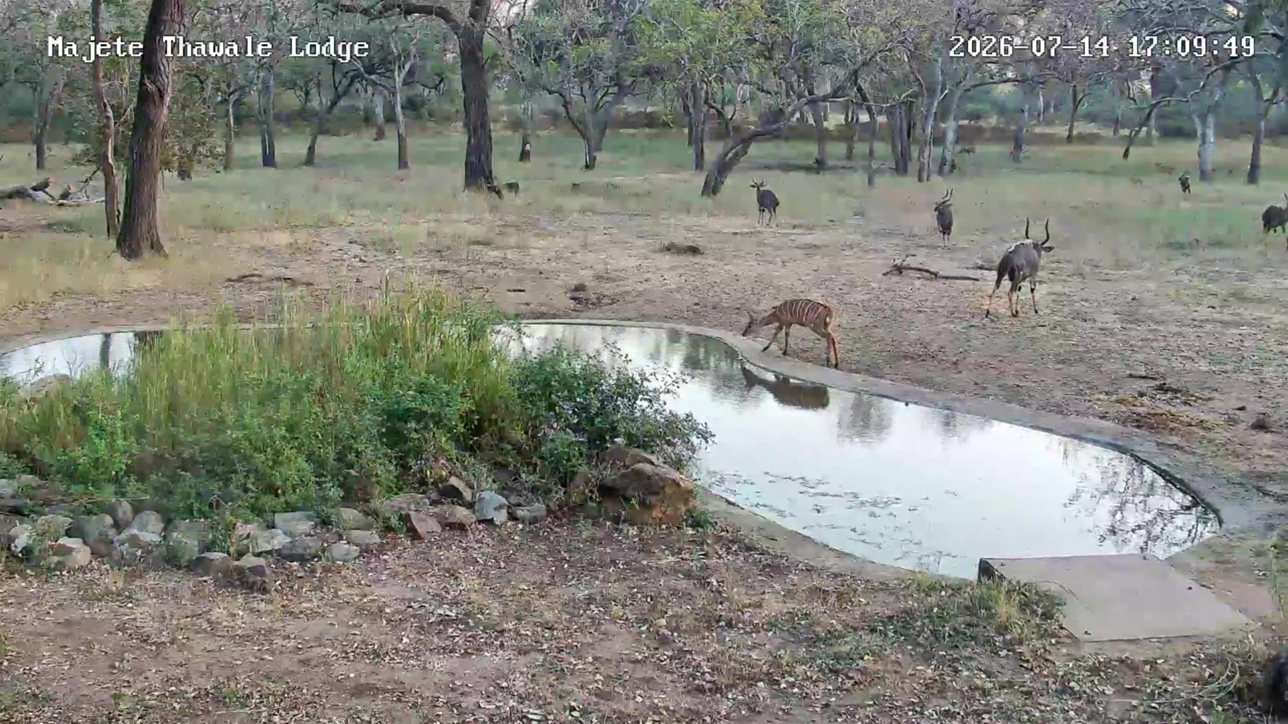 snapshot