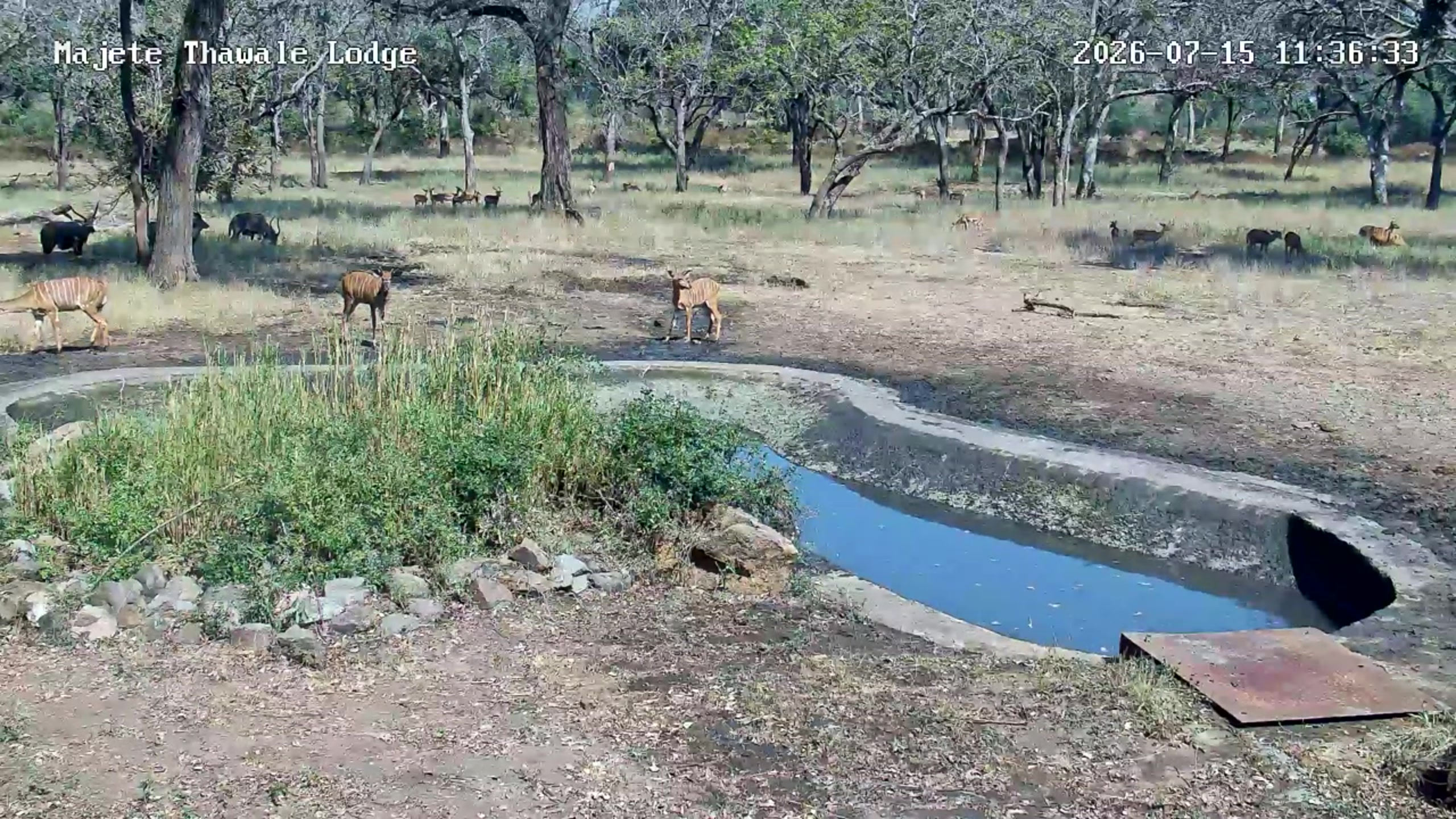 snapshot
