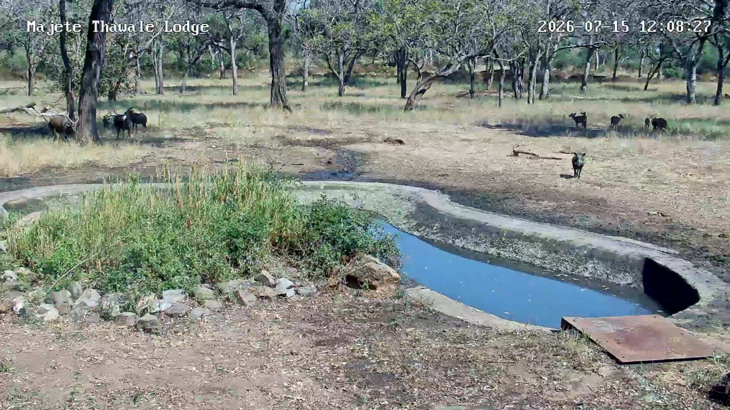 snapshot