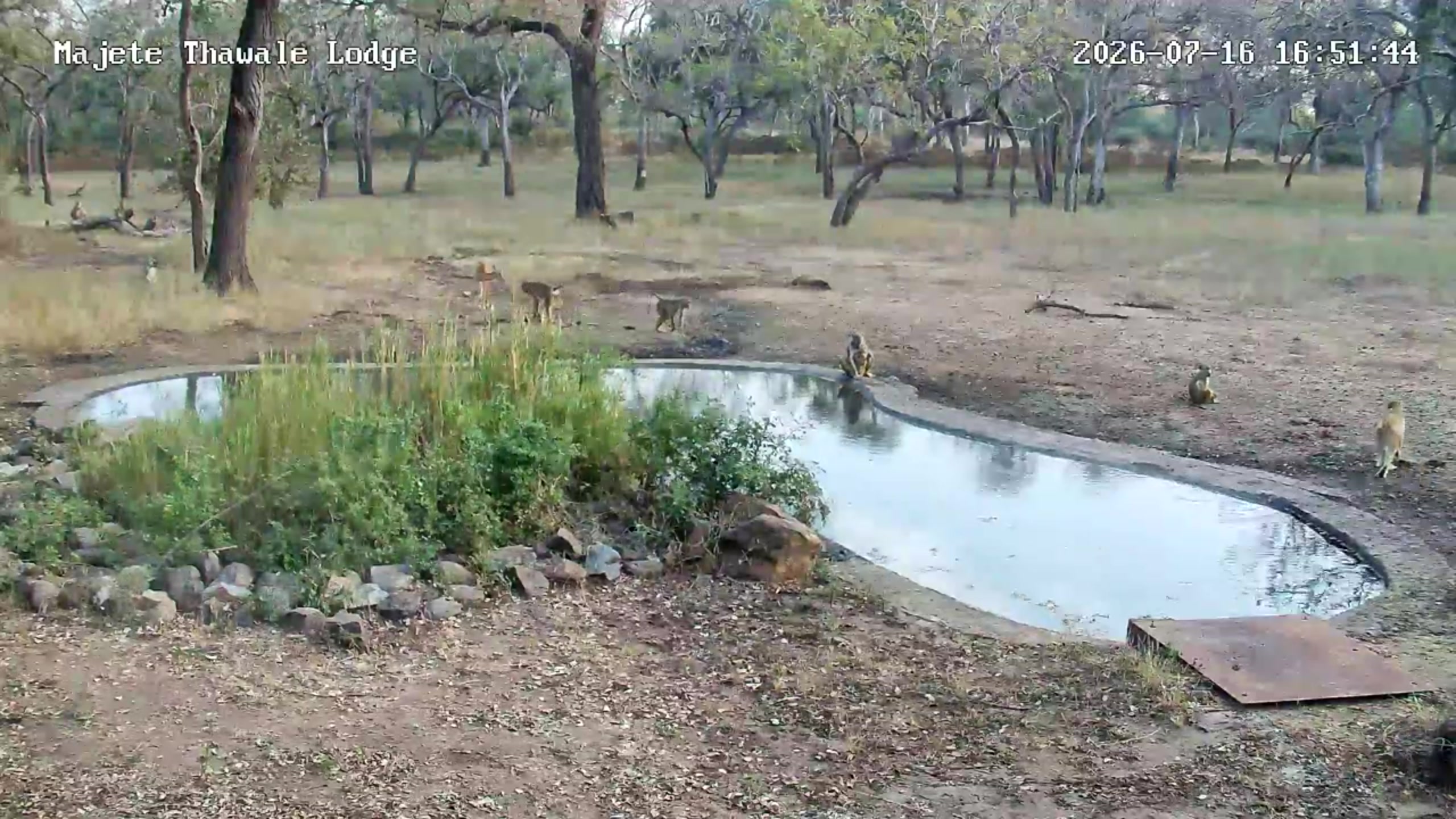 snapshot