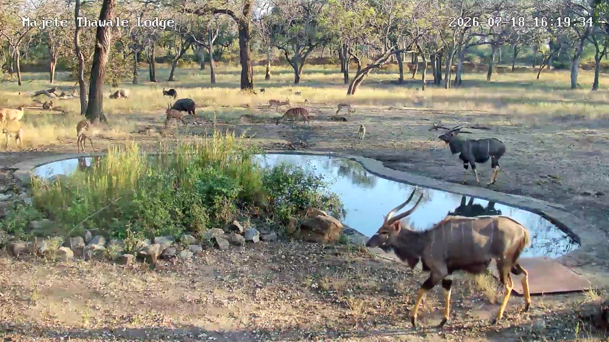 snapshot