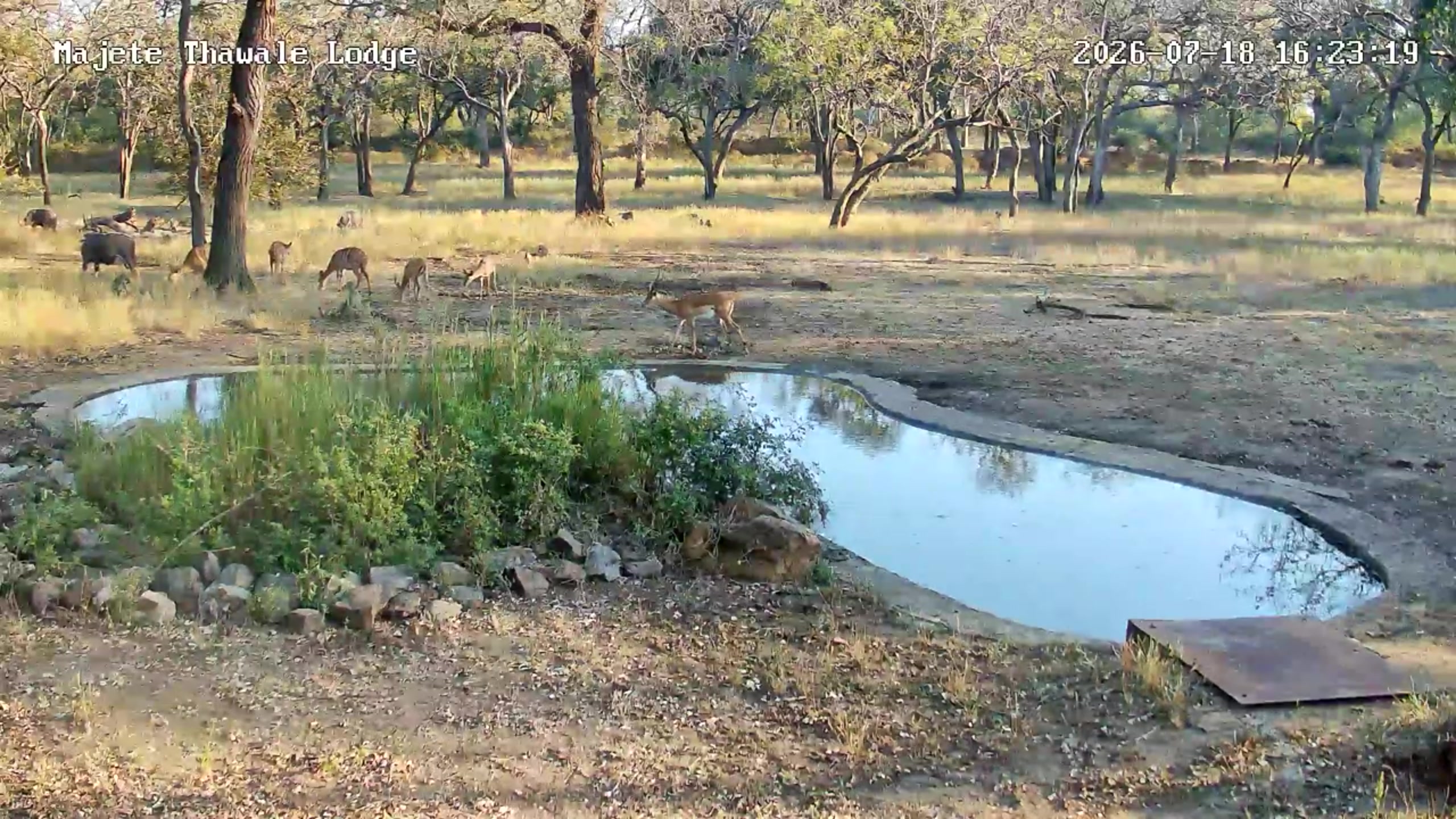 snapshot
