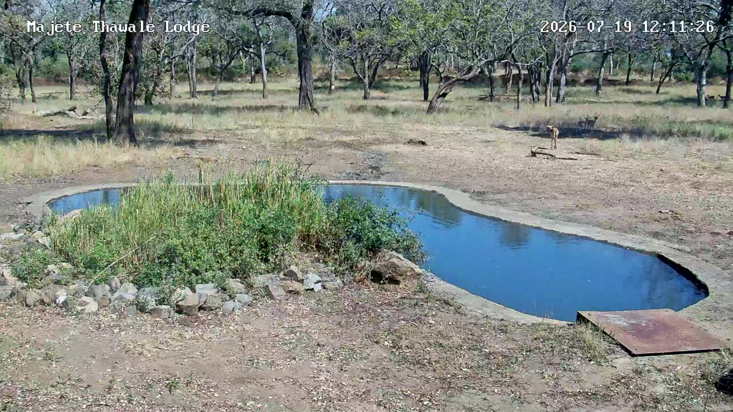 snapshot