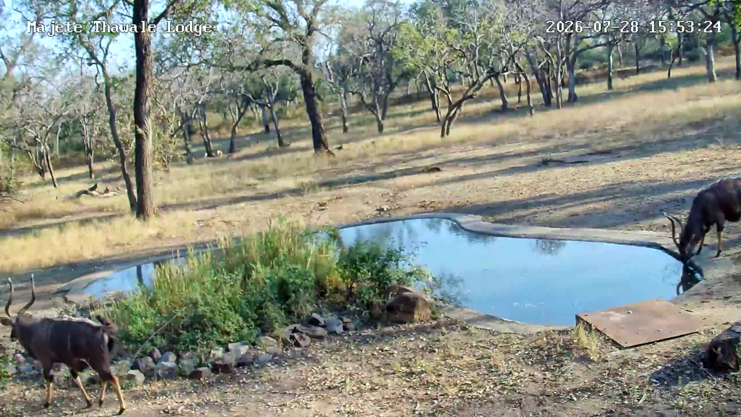 snapshot