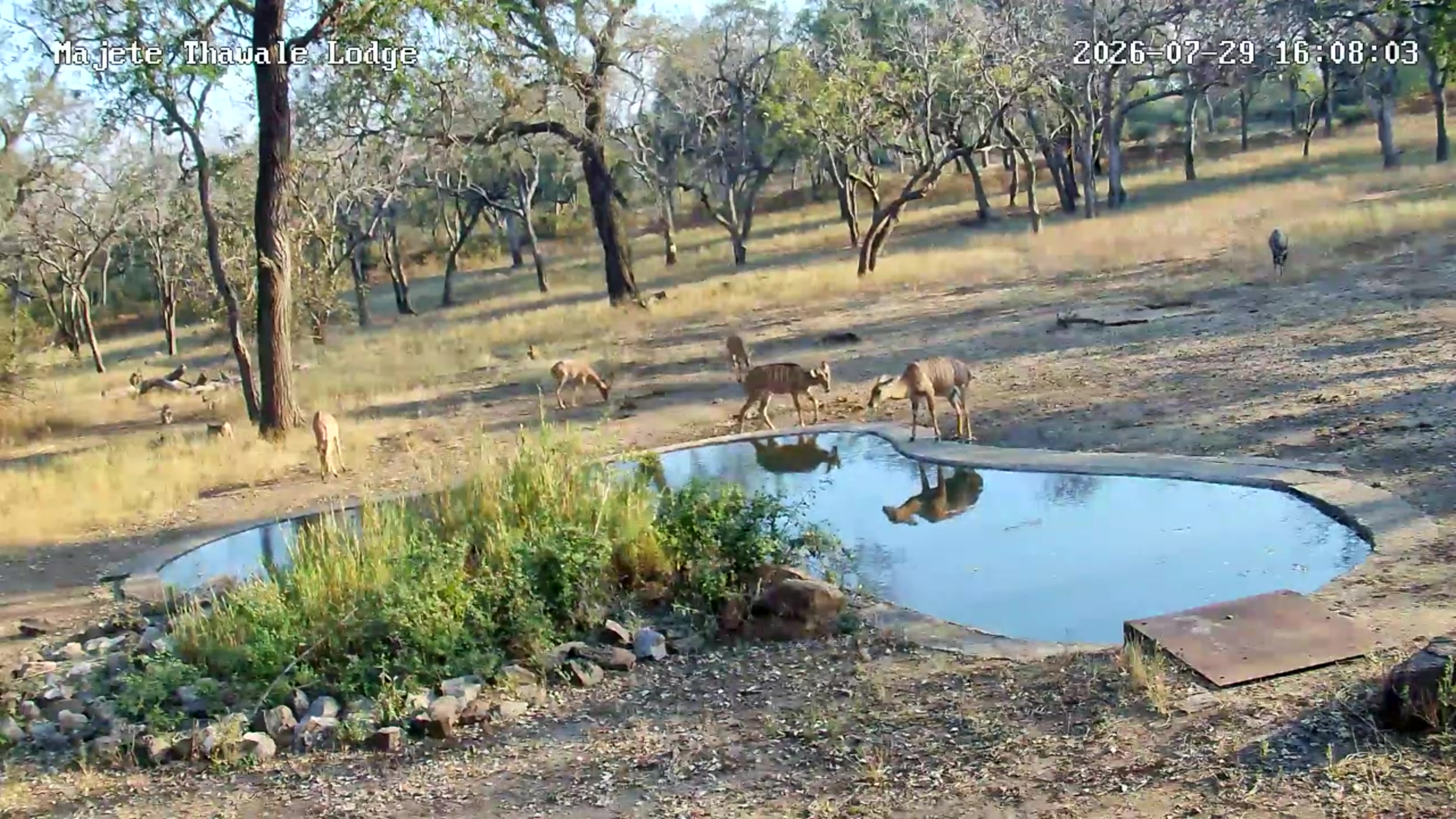 snapshot
