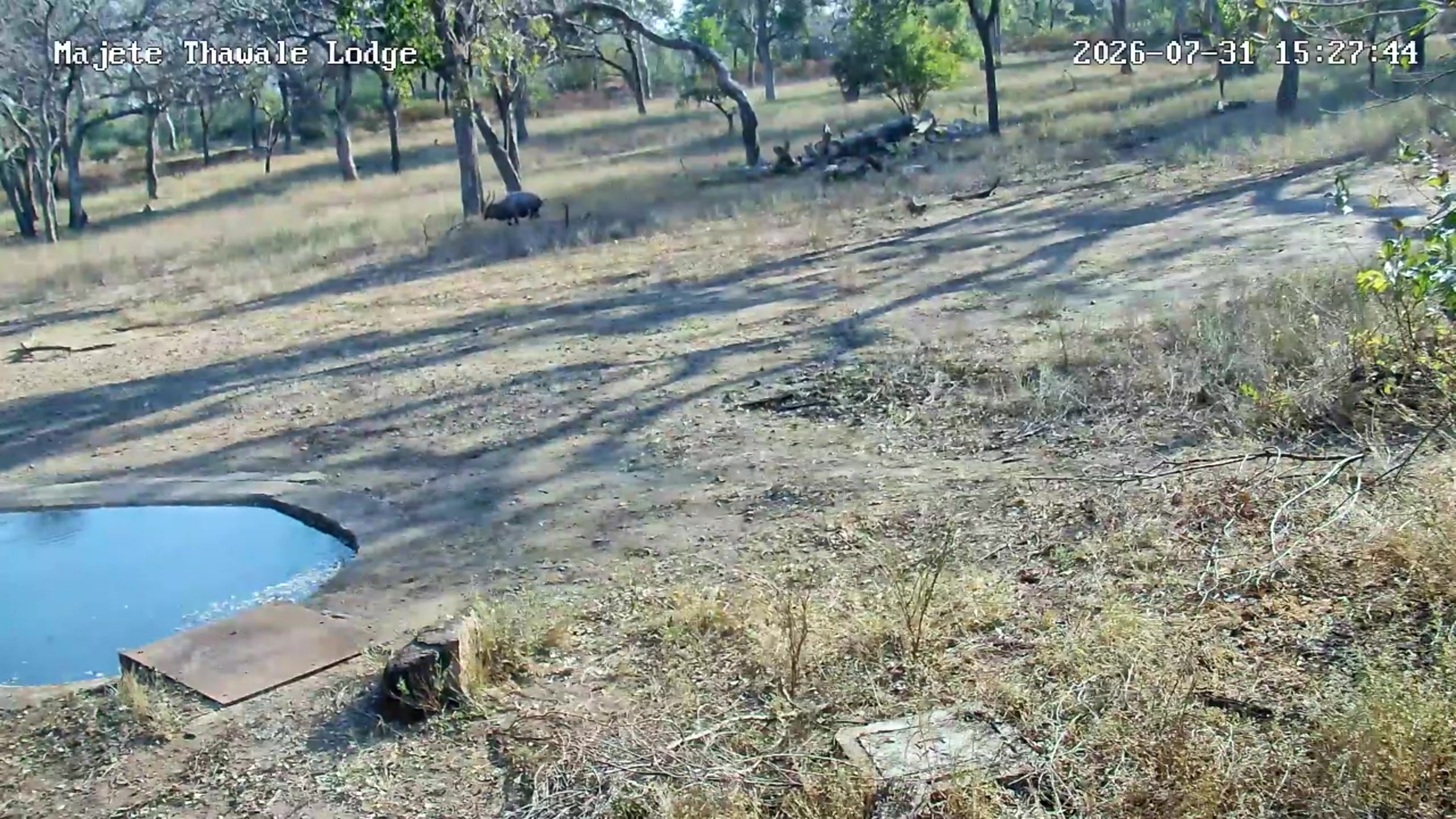 snapshot