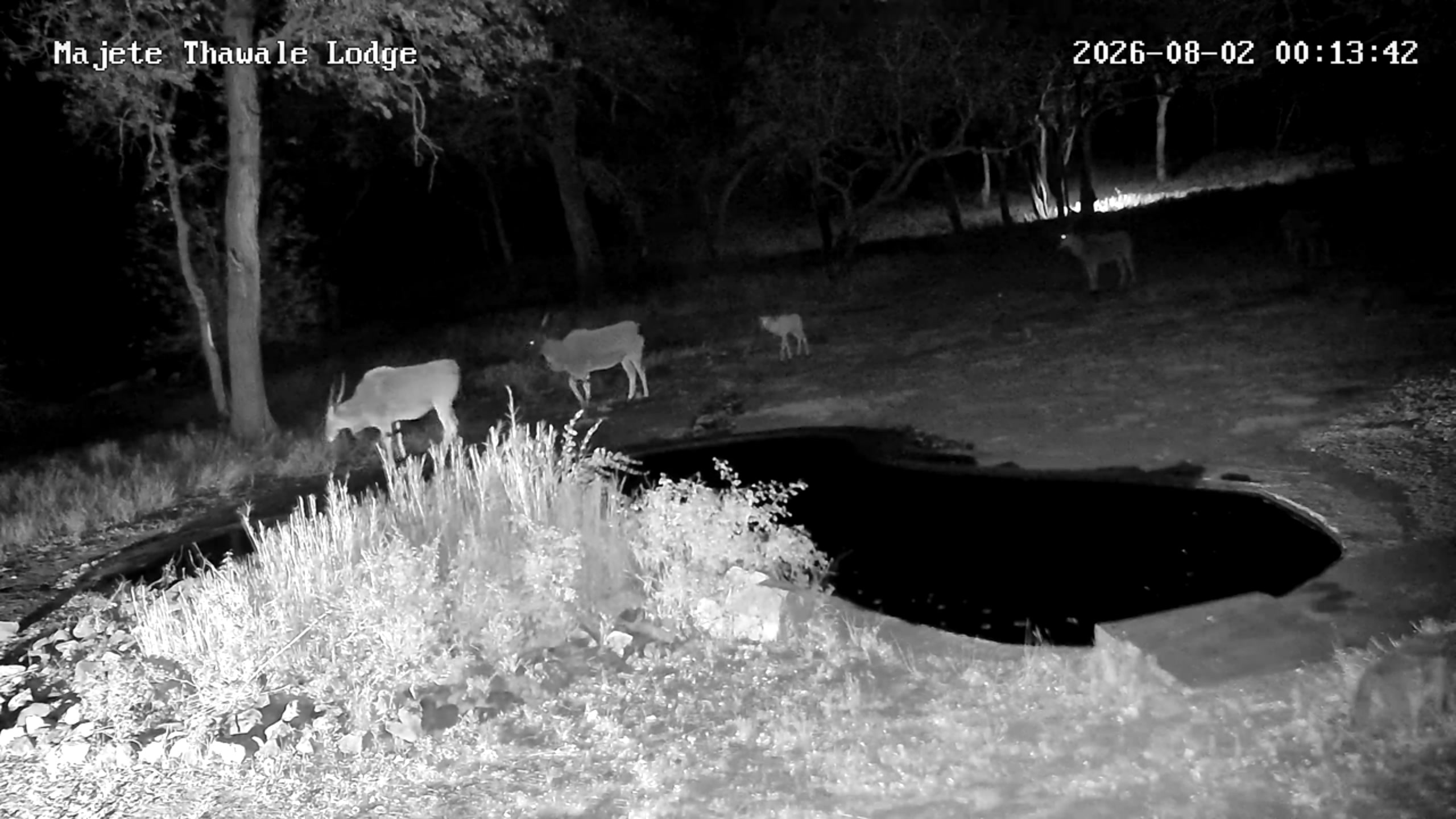 snapshot