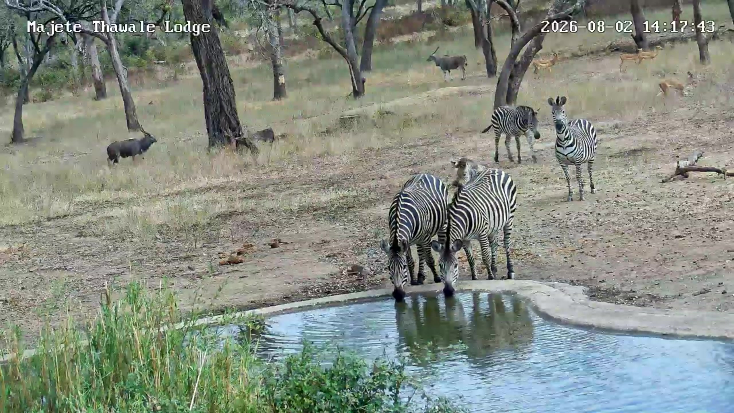 snapshot