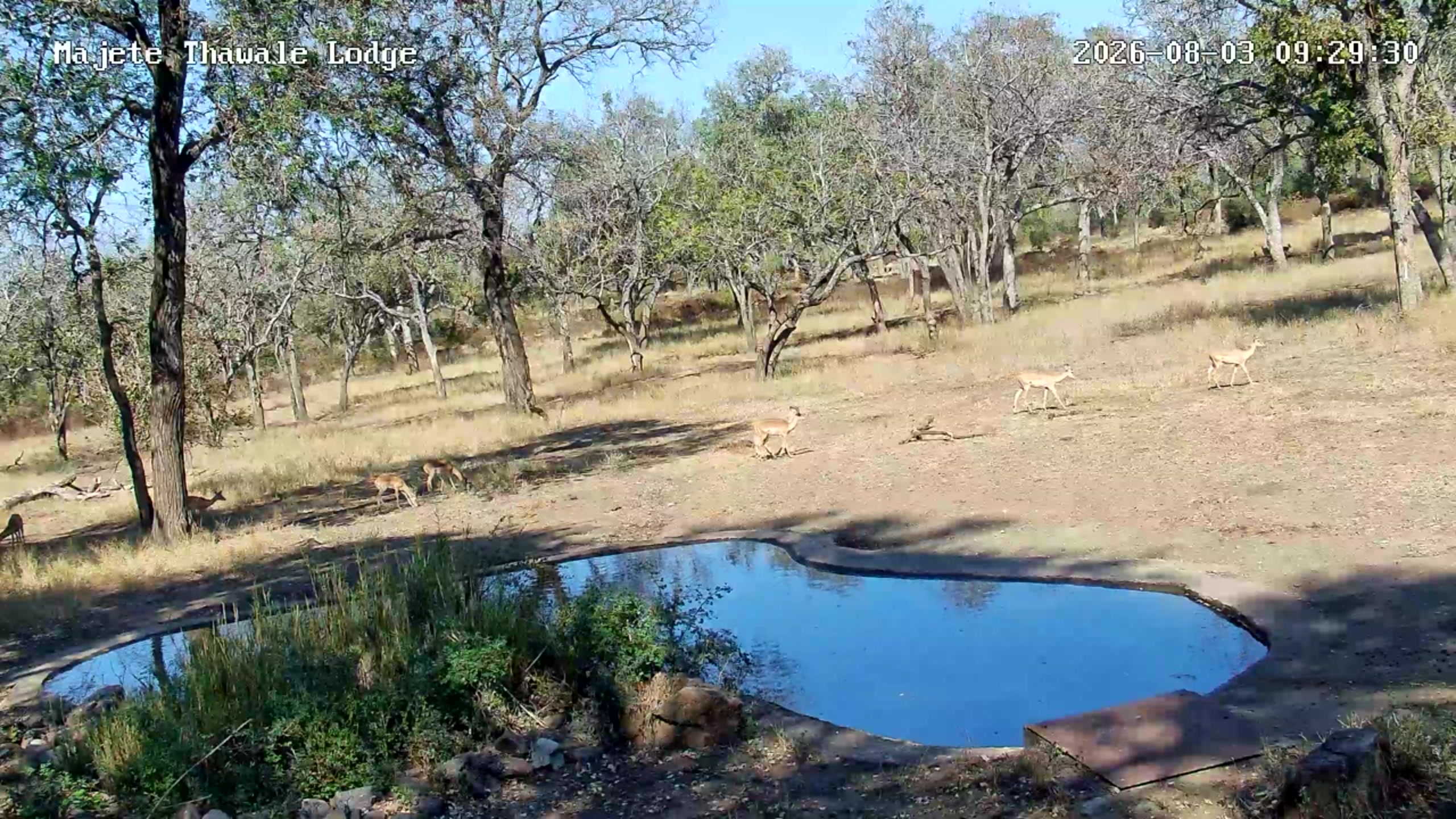 snapshot