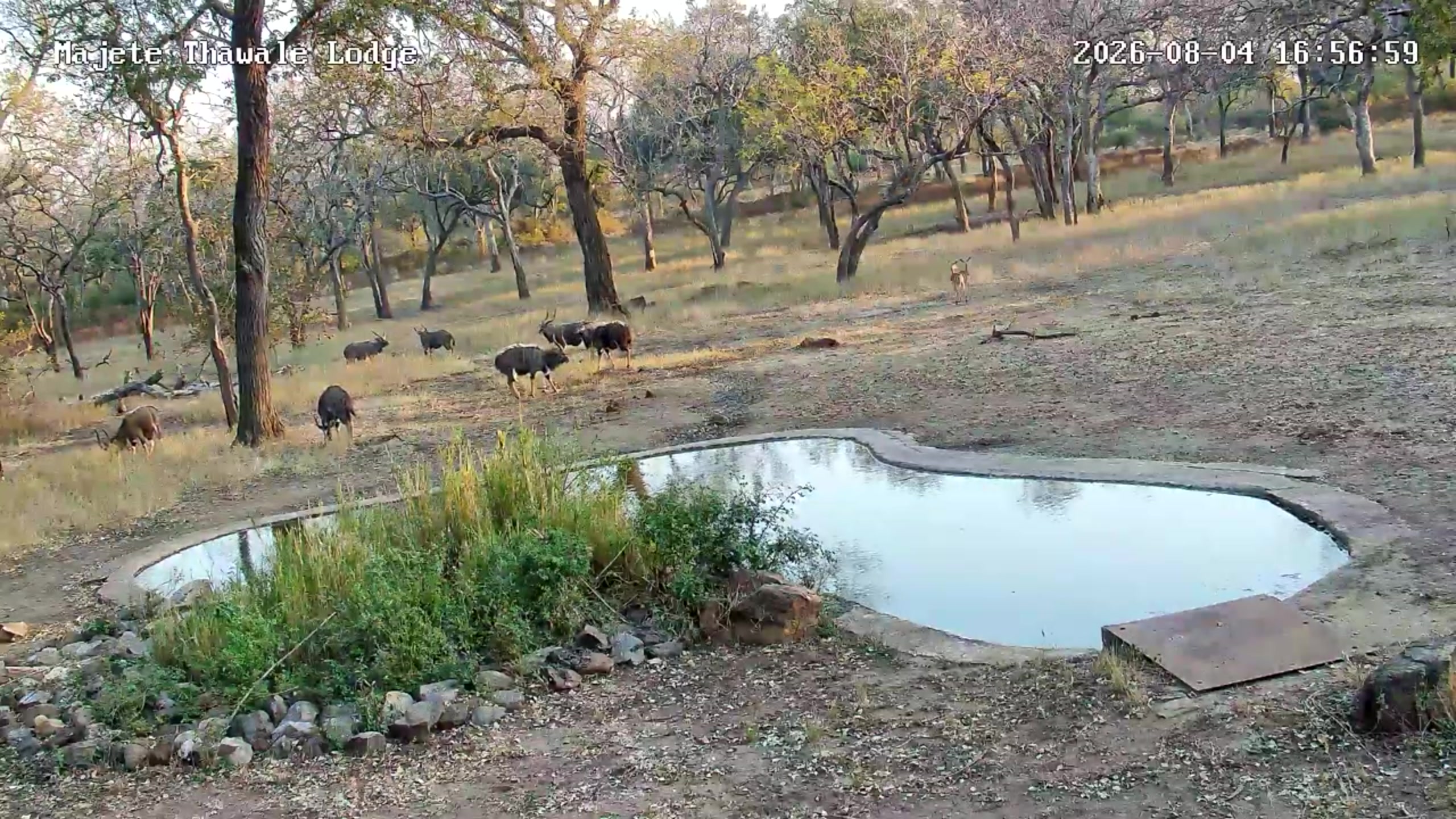 snapshot