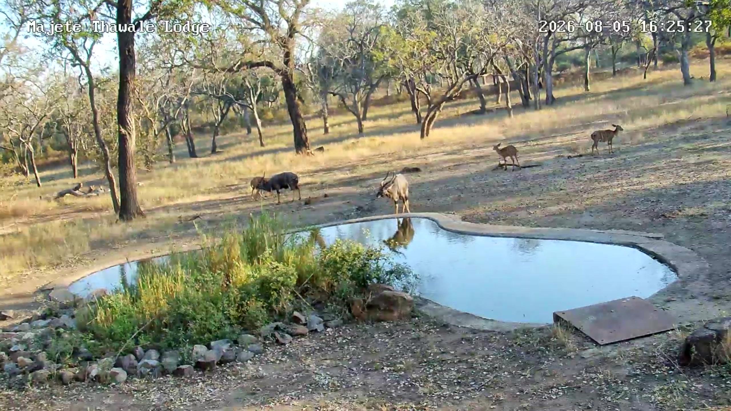 snapshot