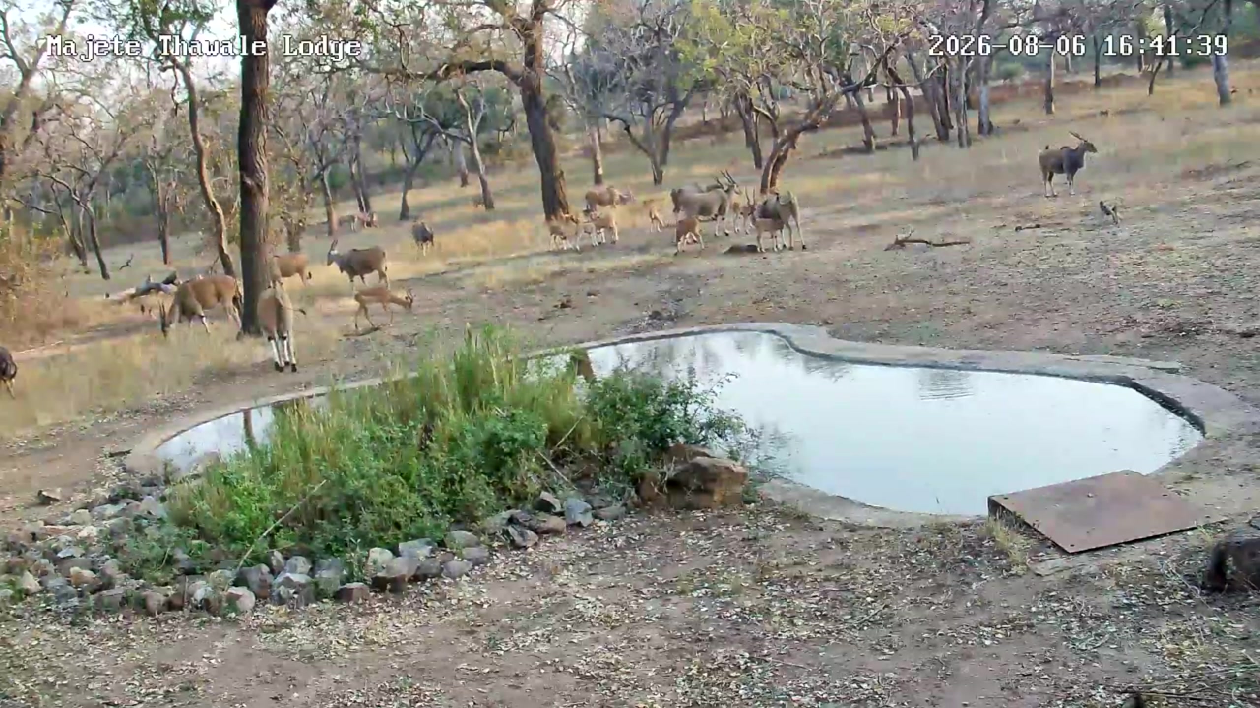snapshot