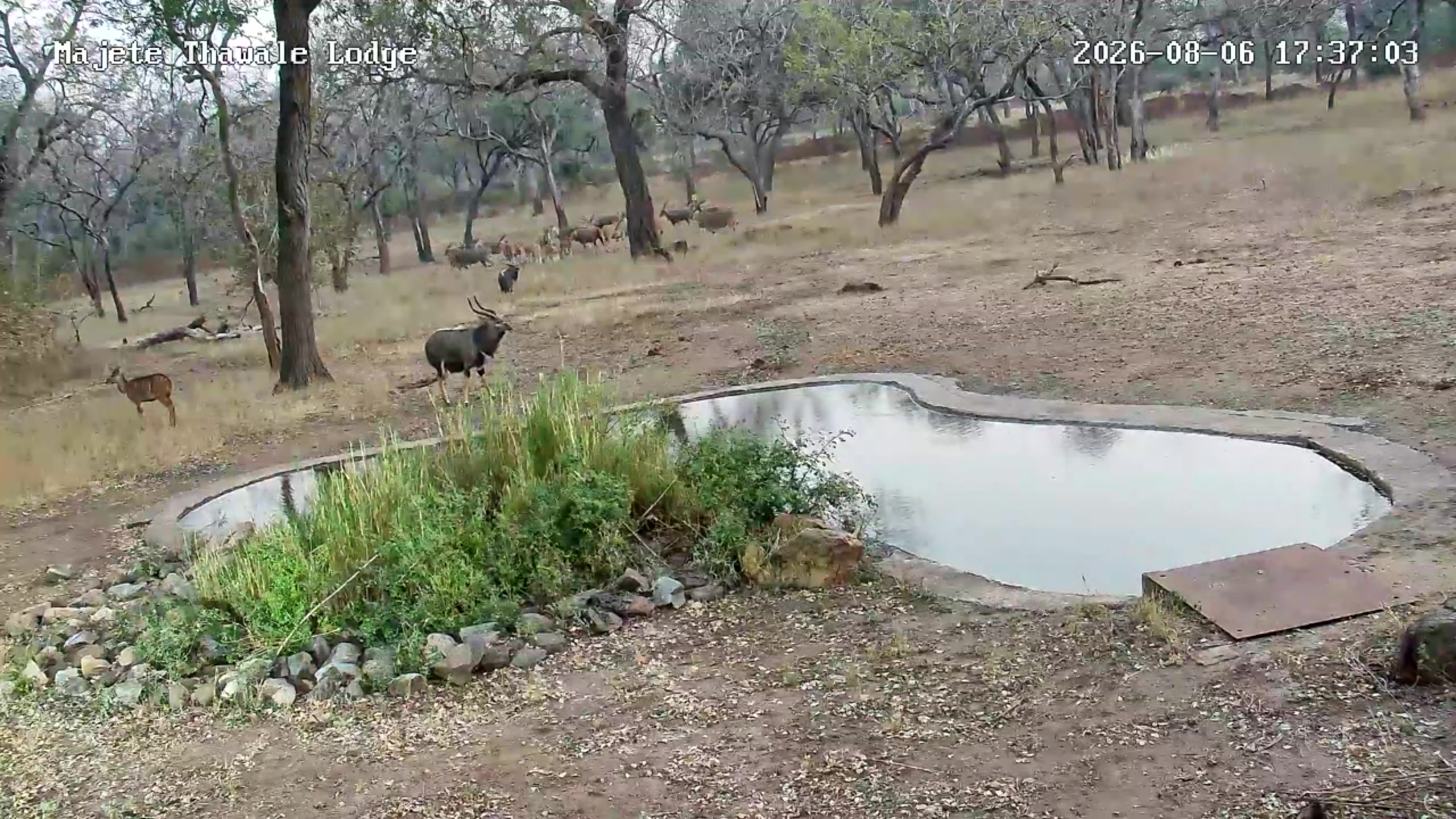 snapshot