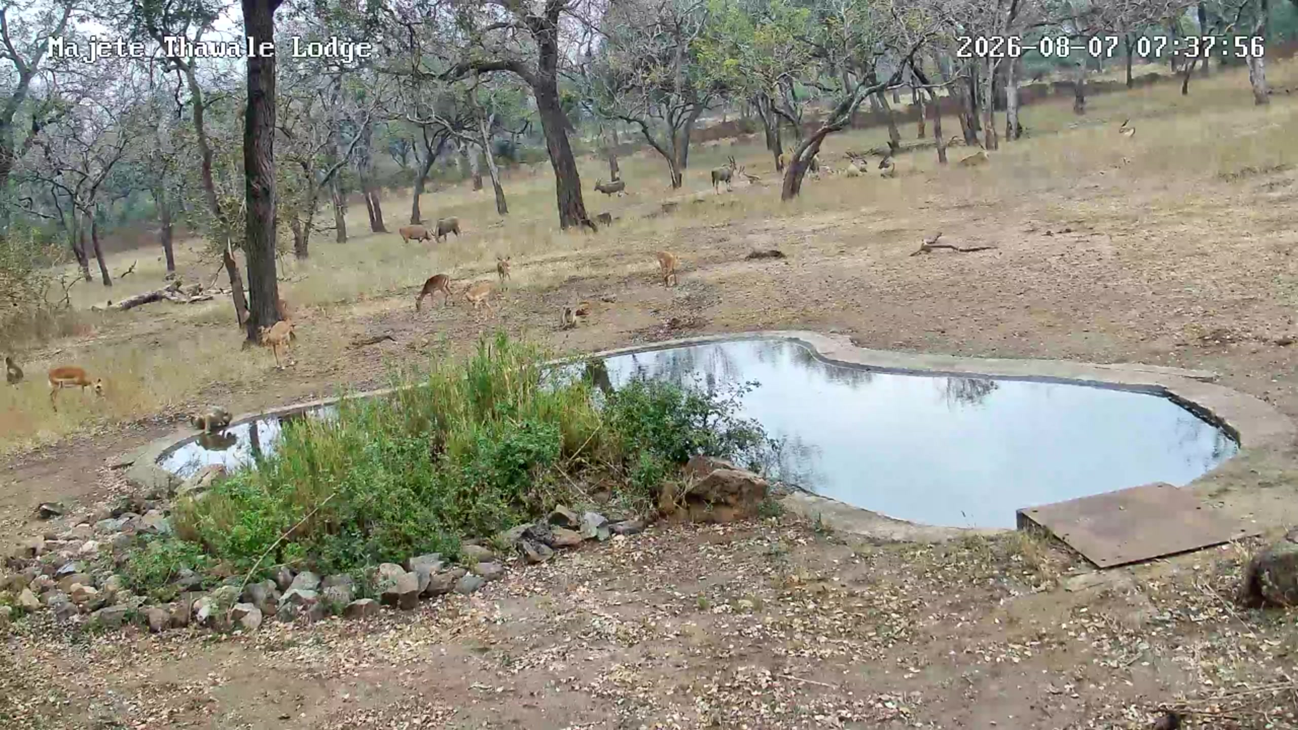 snapshot