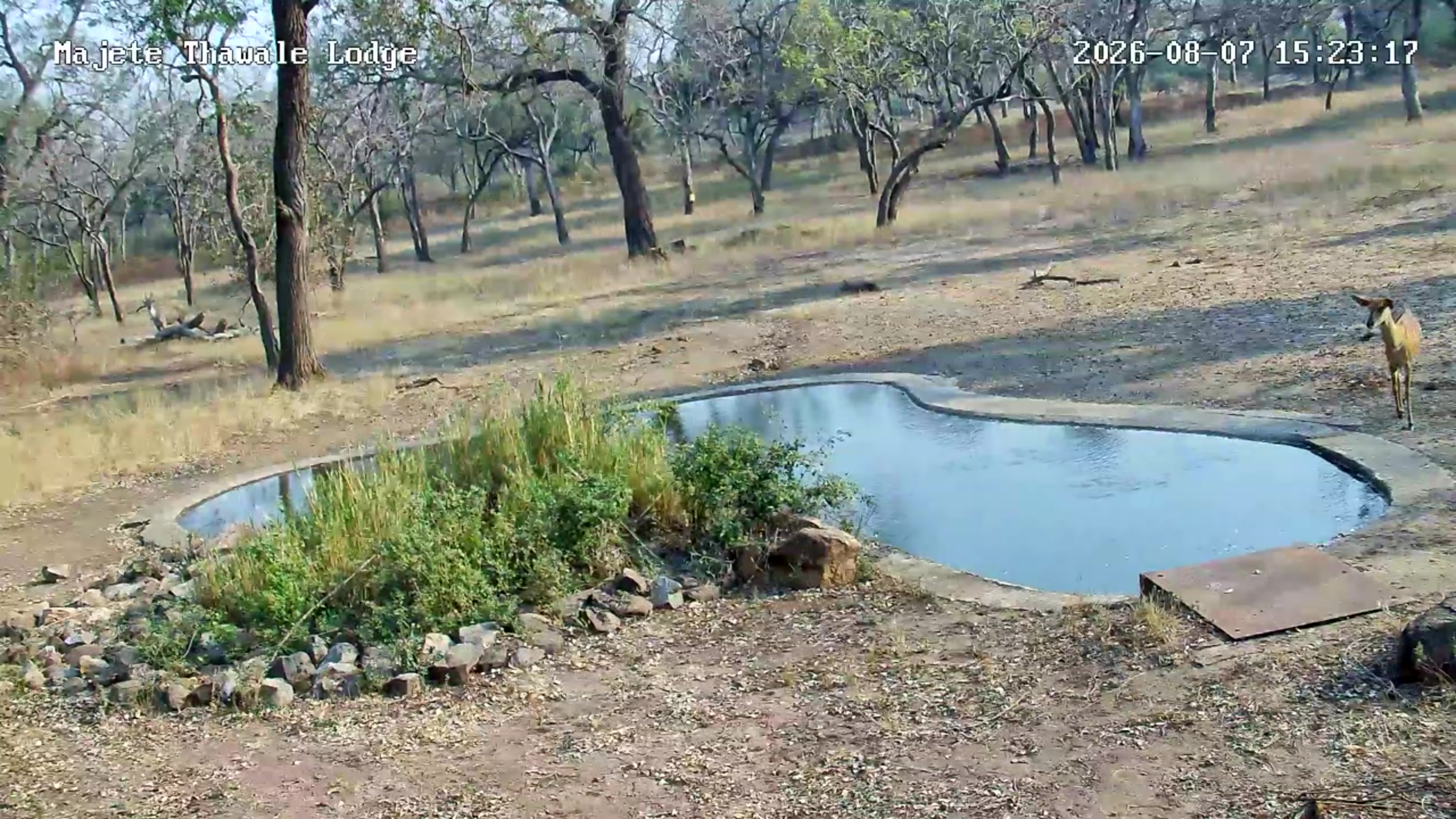 snapshot