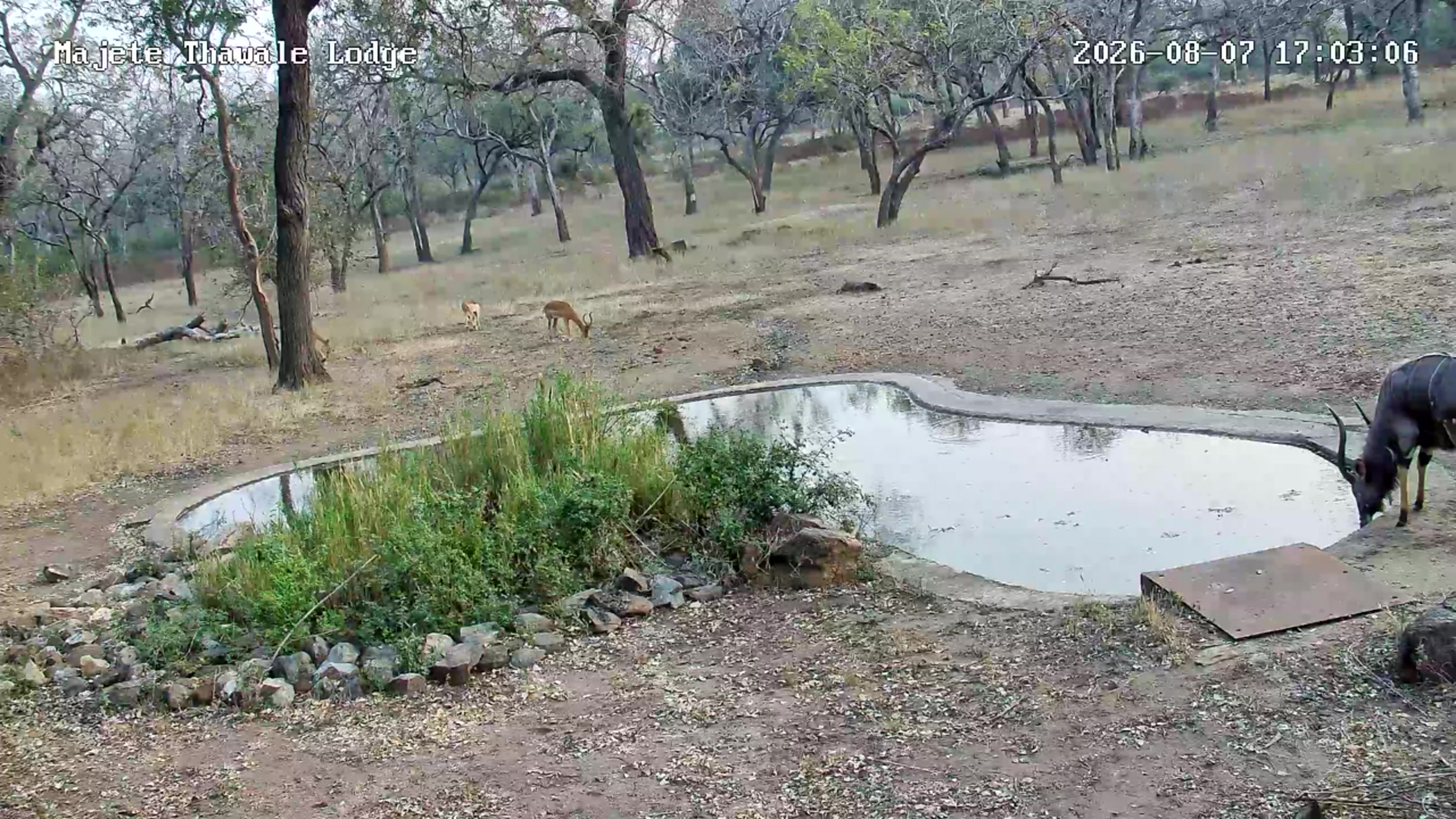snapshot