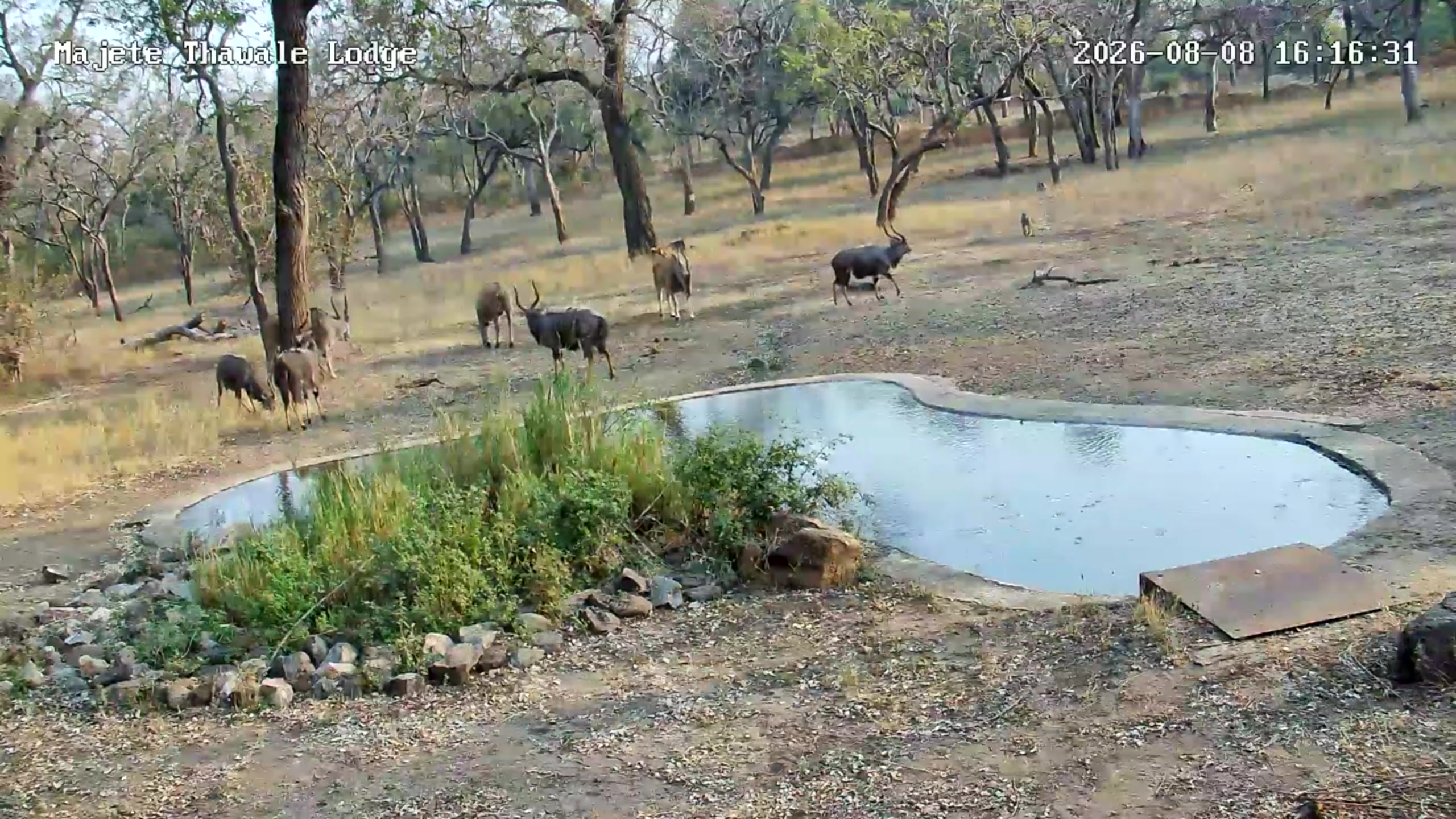 snapshot