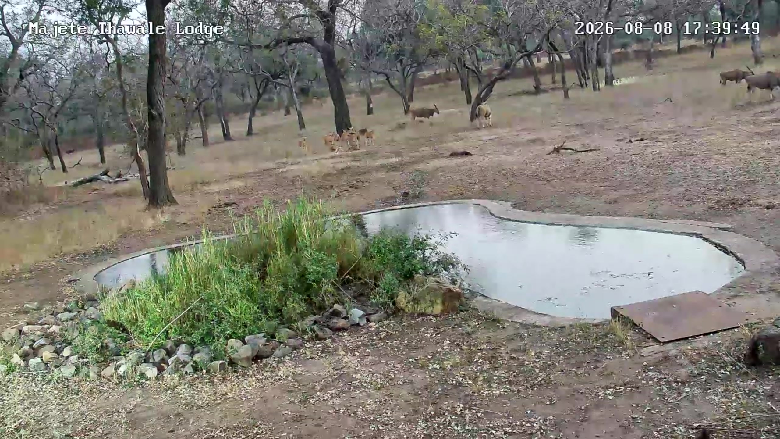 snapshot