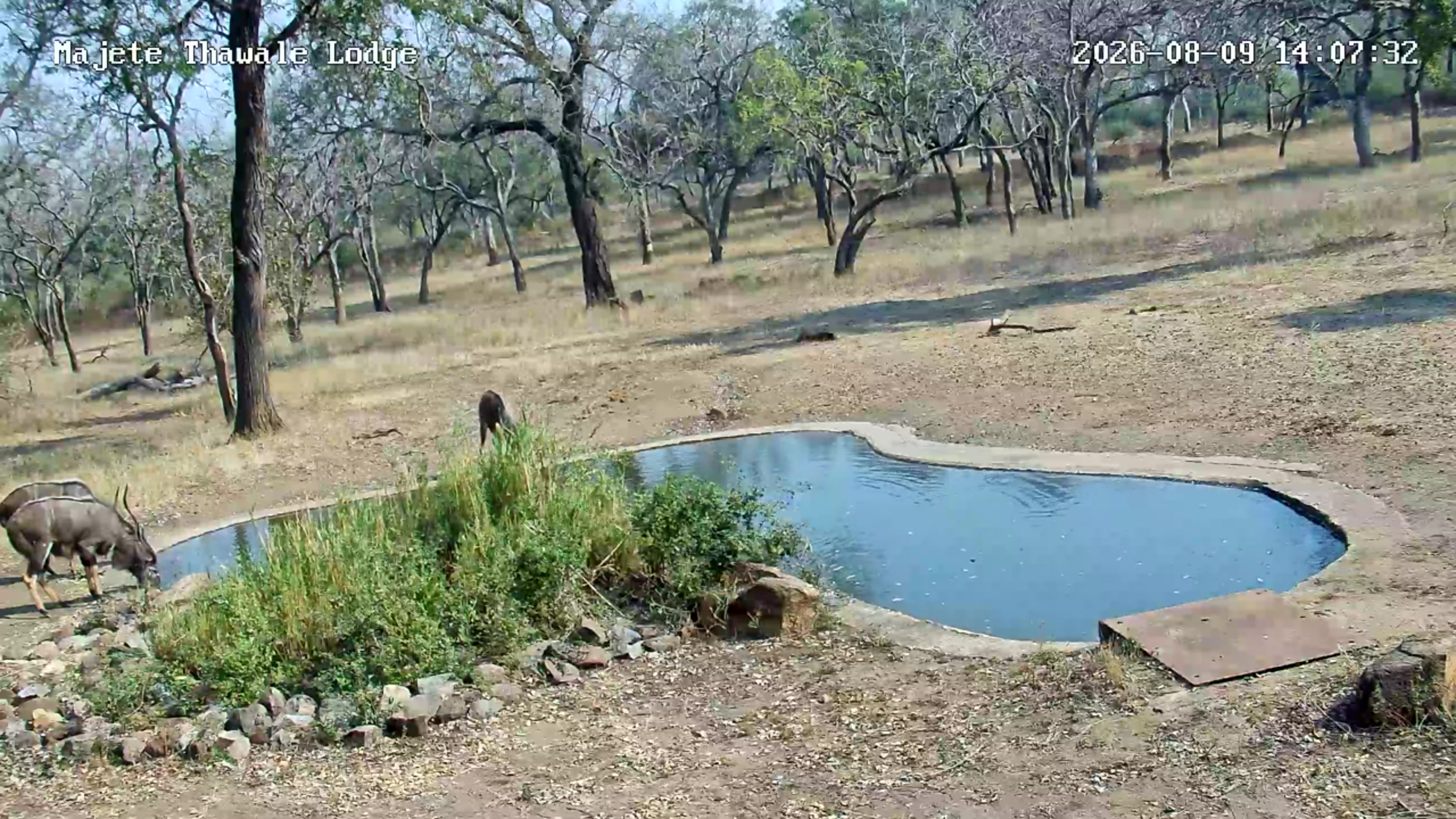 snapshot