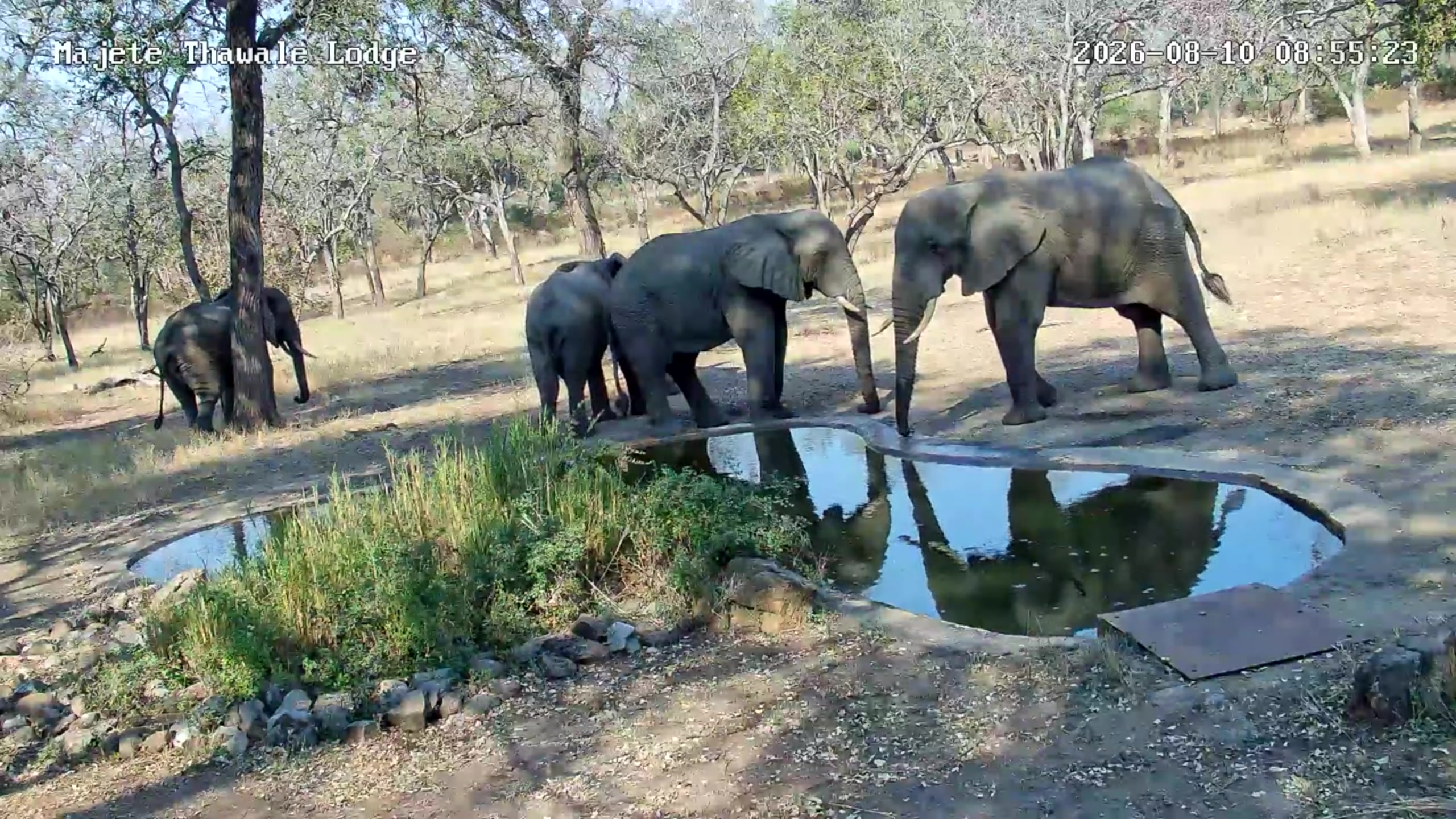 snapshot