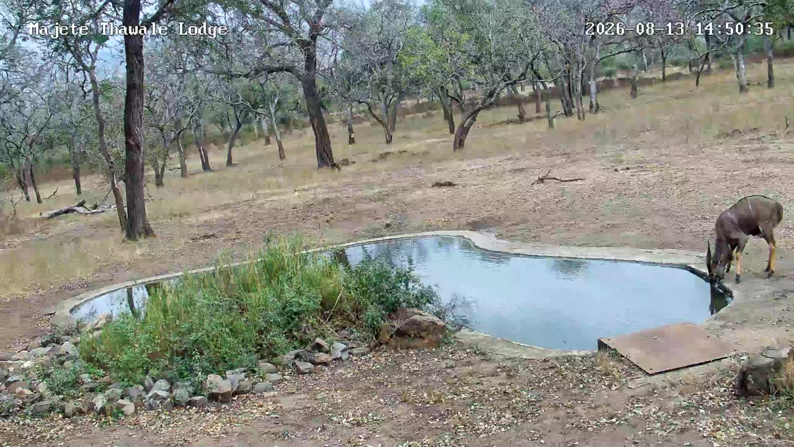 snapshot